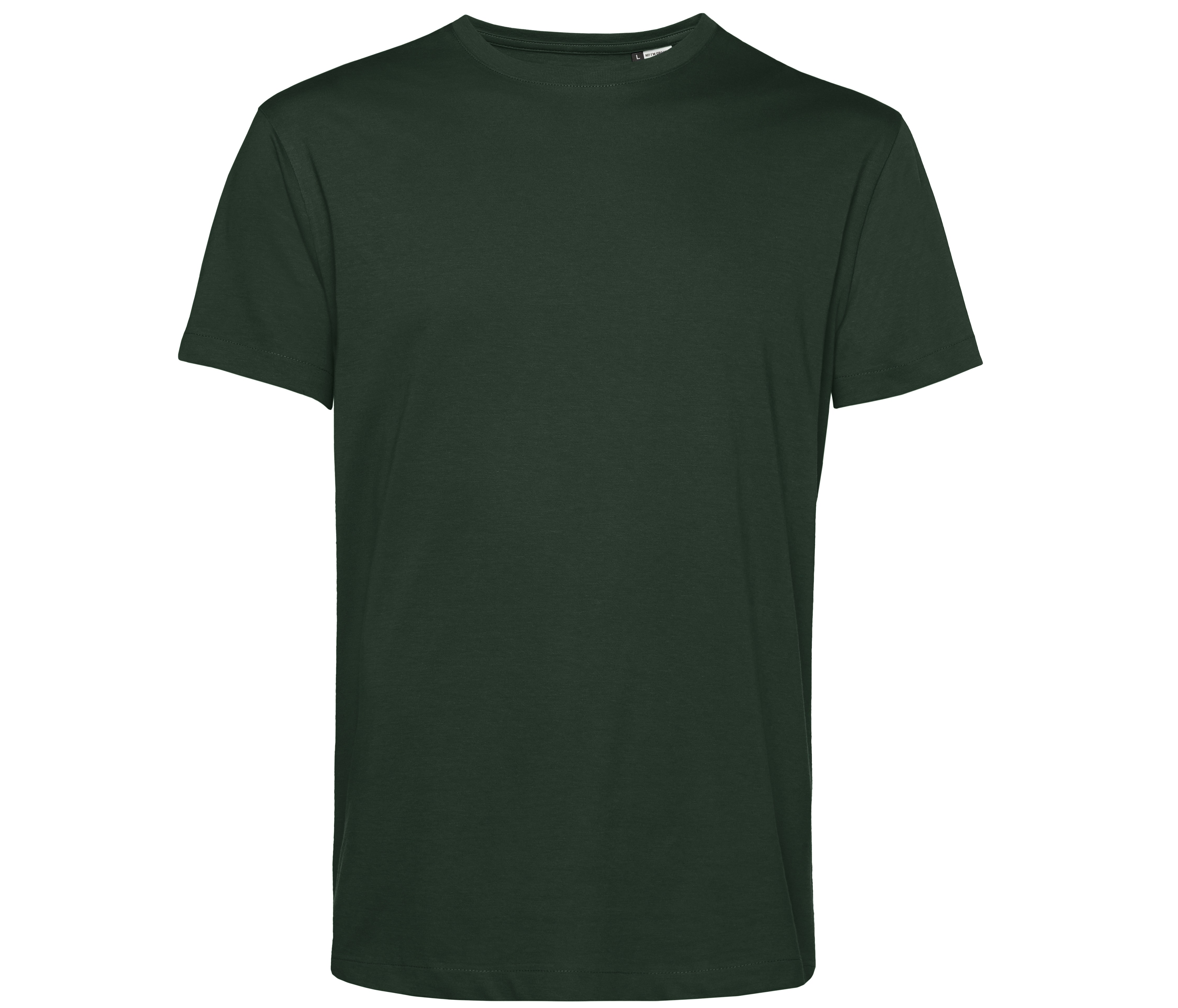 BC01B - Forest Green