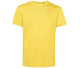 Yellow Fizz