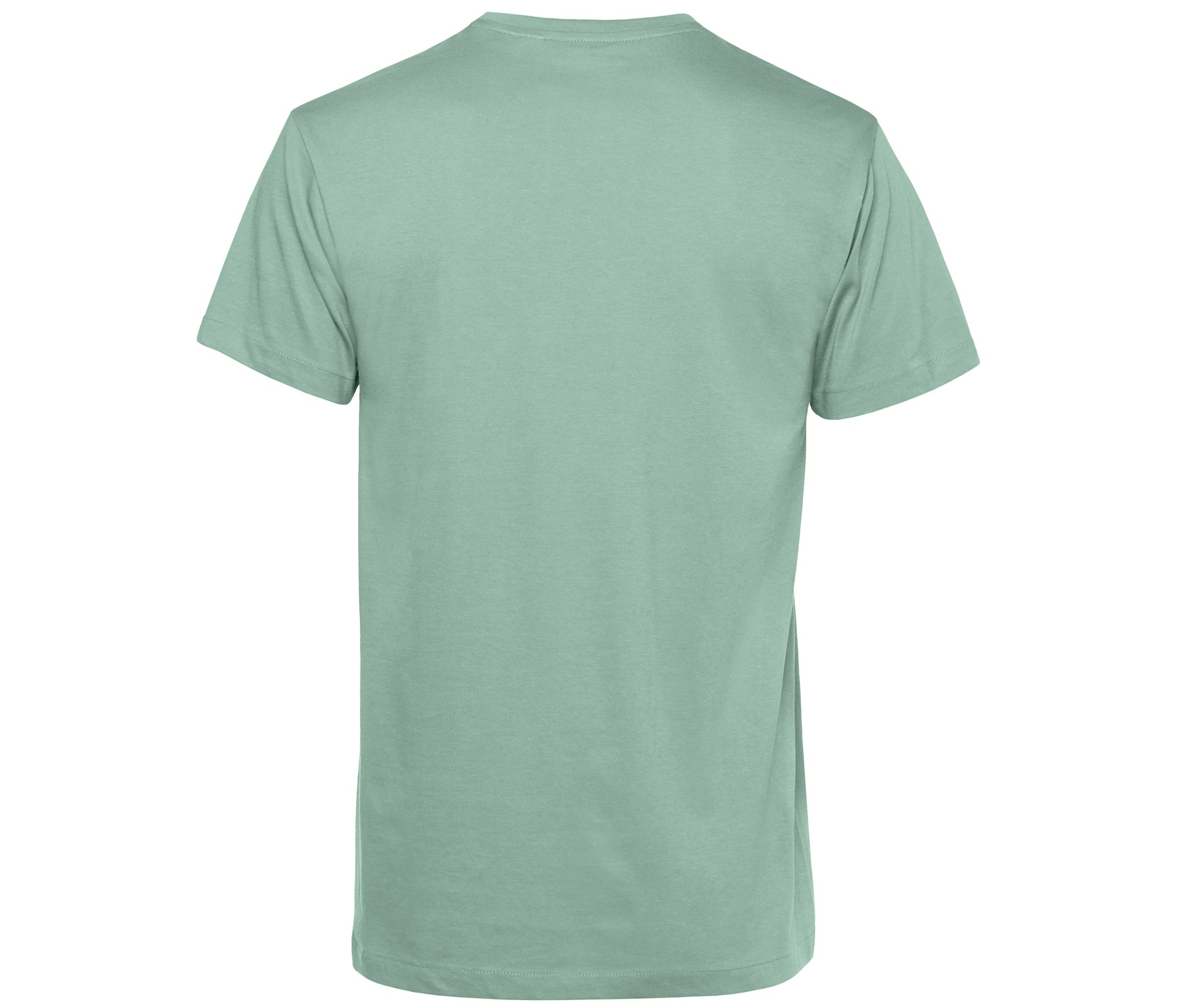 Tee-Shirt Homme Col Rond 150 Organique - Sage