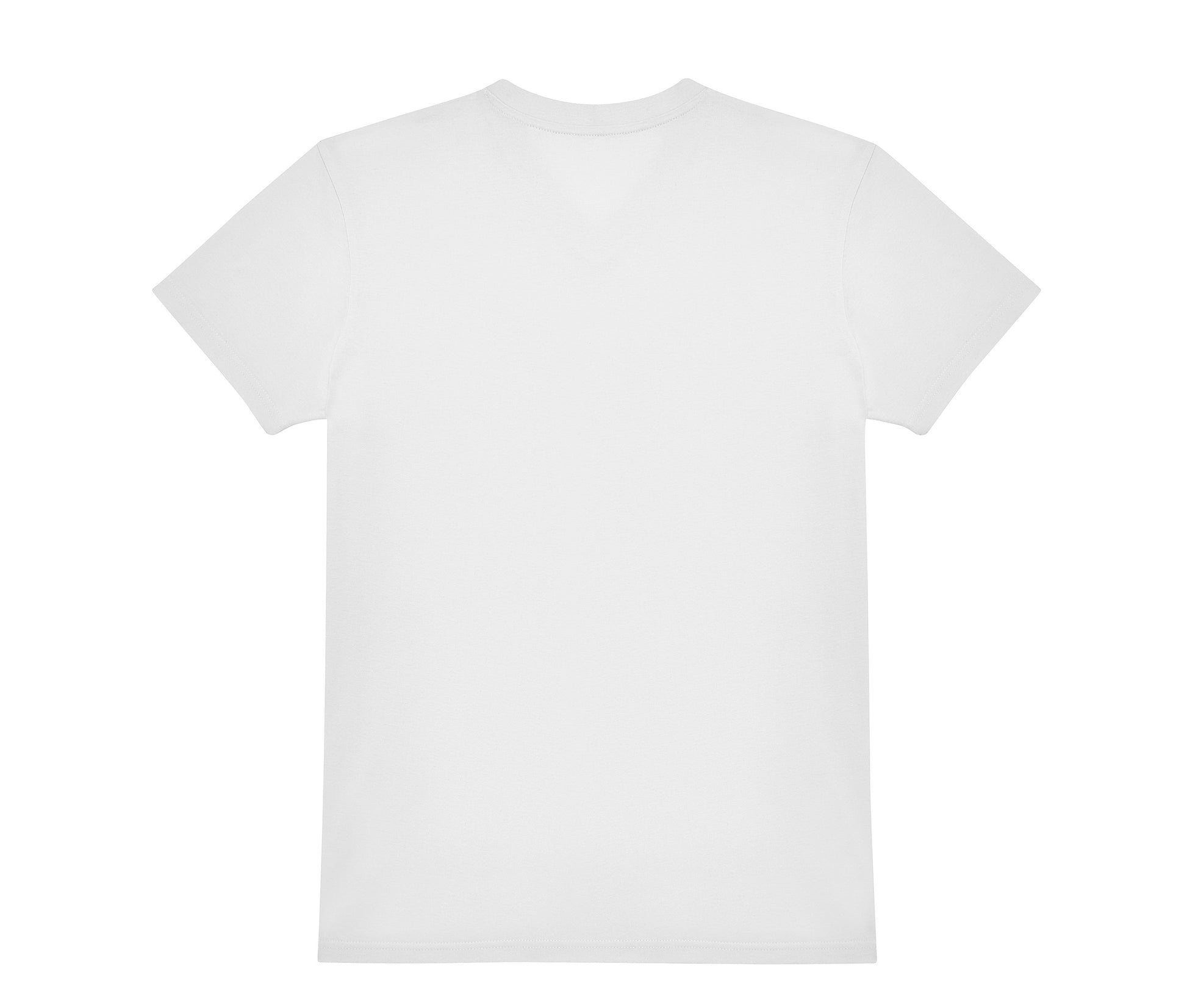 Tee-Shirt Homme Col V 150 - White