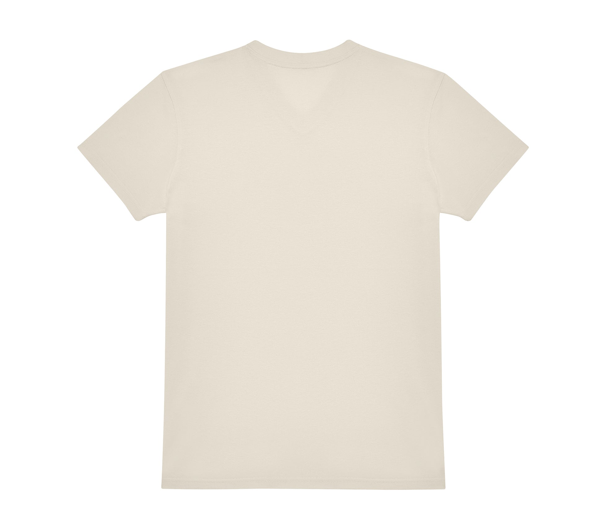 Tee-Shirt Homme Col V 150 - Off White