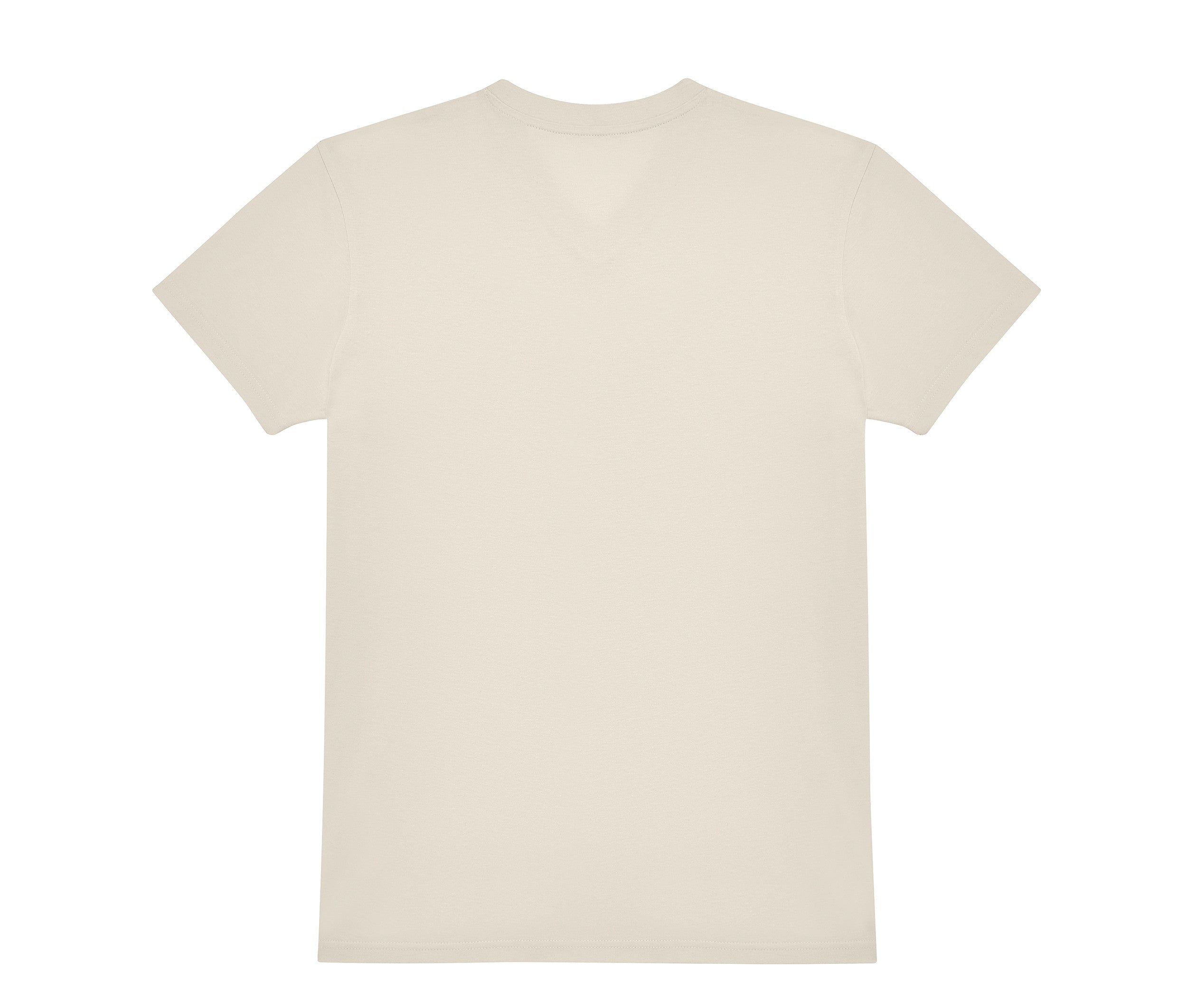 Tee-Shirt Homme Col V 150 - Off White
