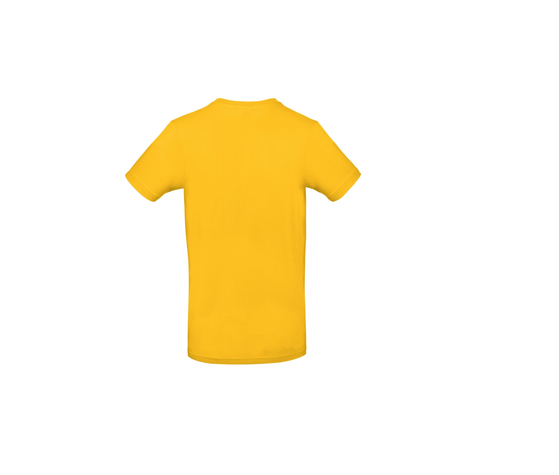 Tee-Shirt Homme Col Rond 190 - Gold