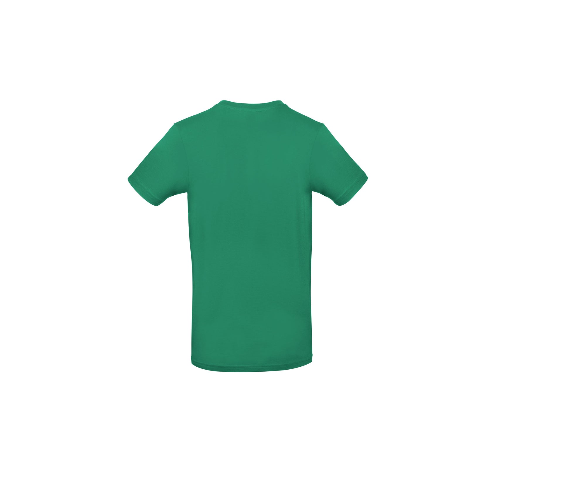 Tee-Shirt Homme Col Rond 190 - Kelly Green