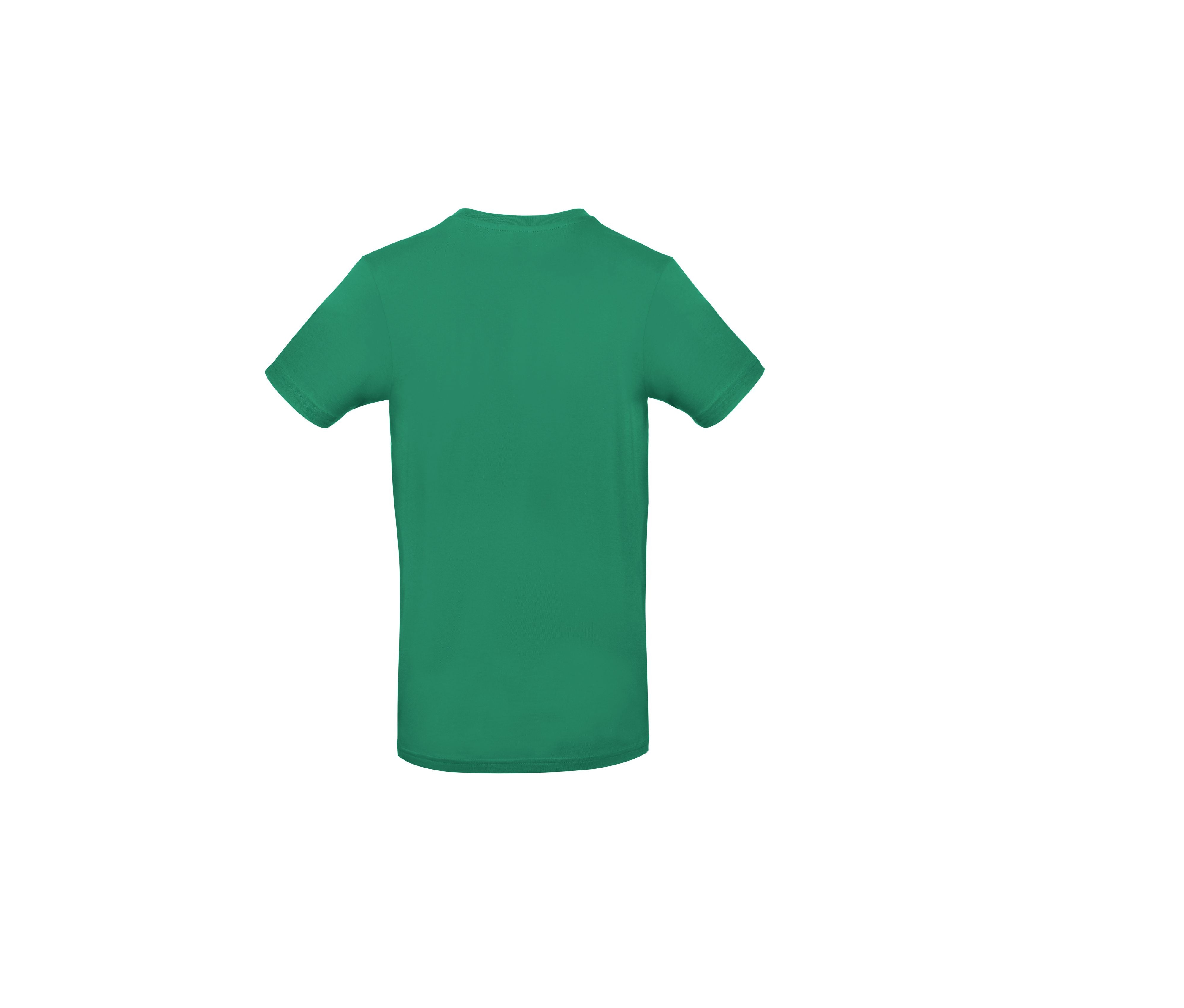 Tee-Shirt Homme Col Rond 190 - Kelly Green