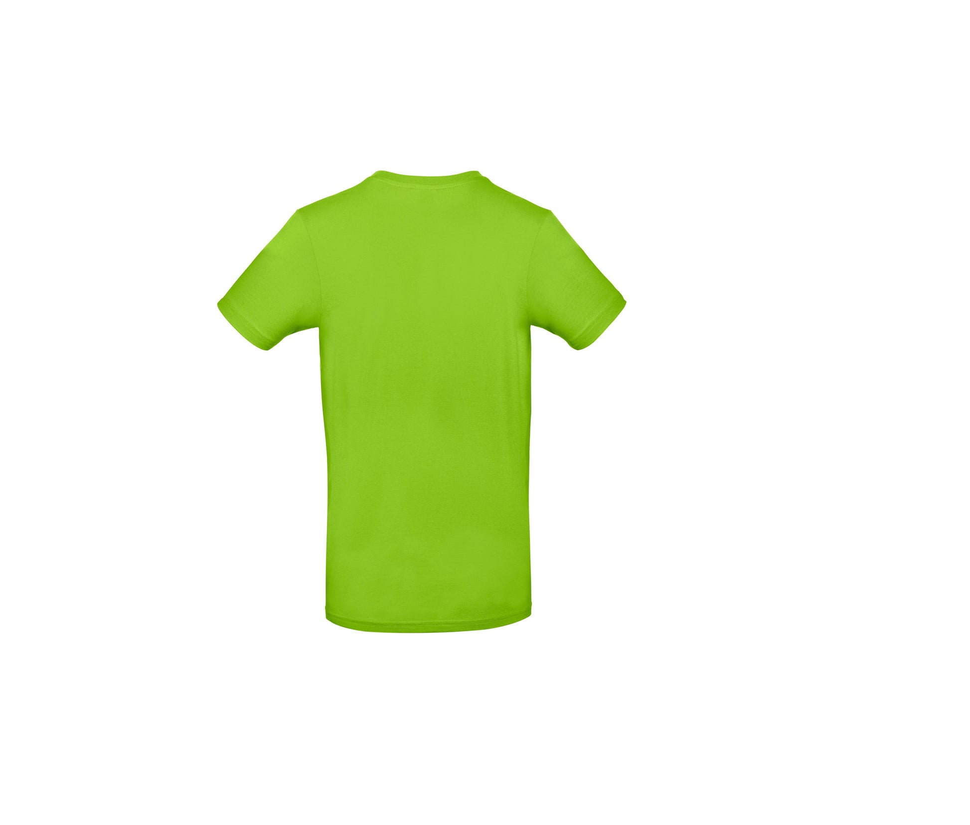 Tee-Shirt Homme Col Rond 190 - Orchid Green