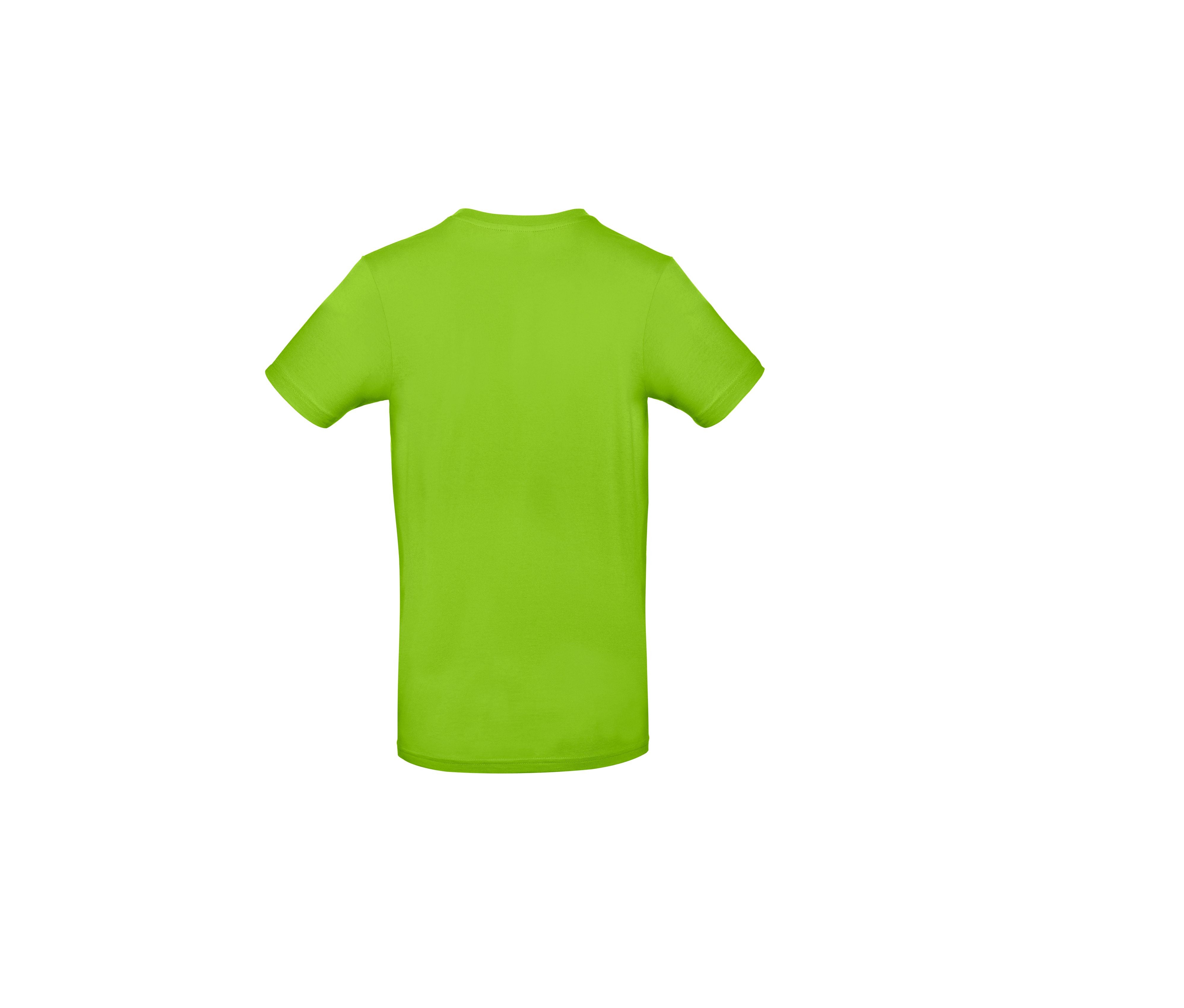Tee-Shirt Homme Col Rond 190 - Orchid Green