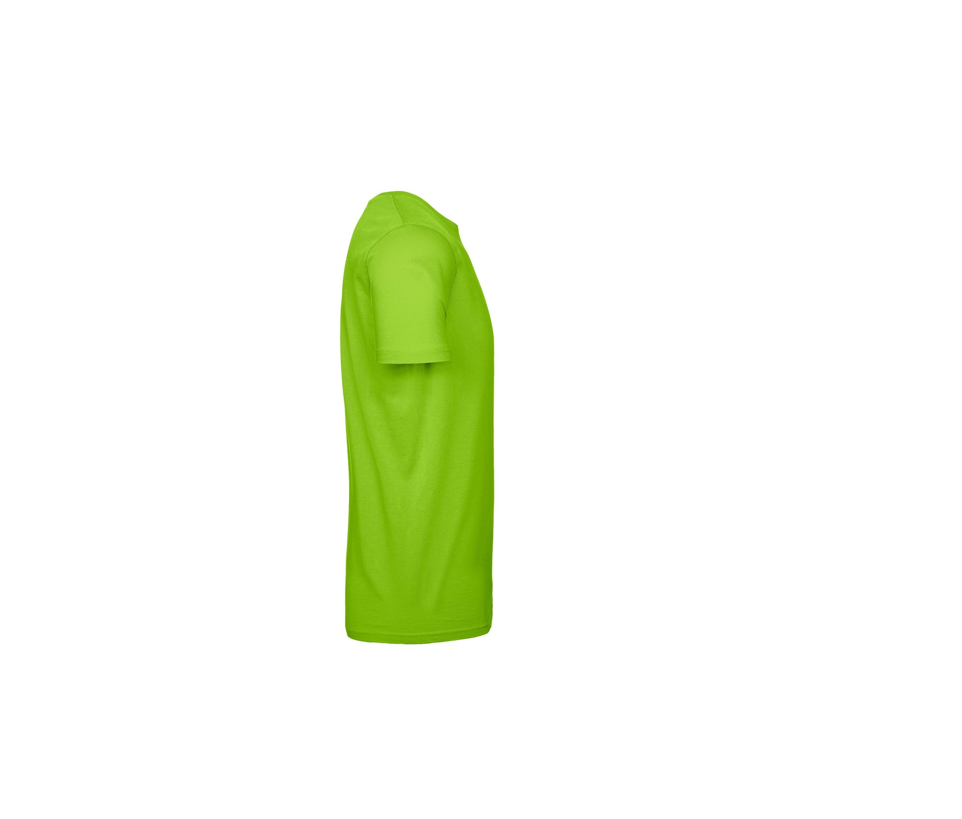 Tee-Shirt Homme Col Rond 190 - Orchid Green