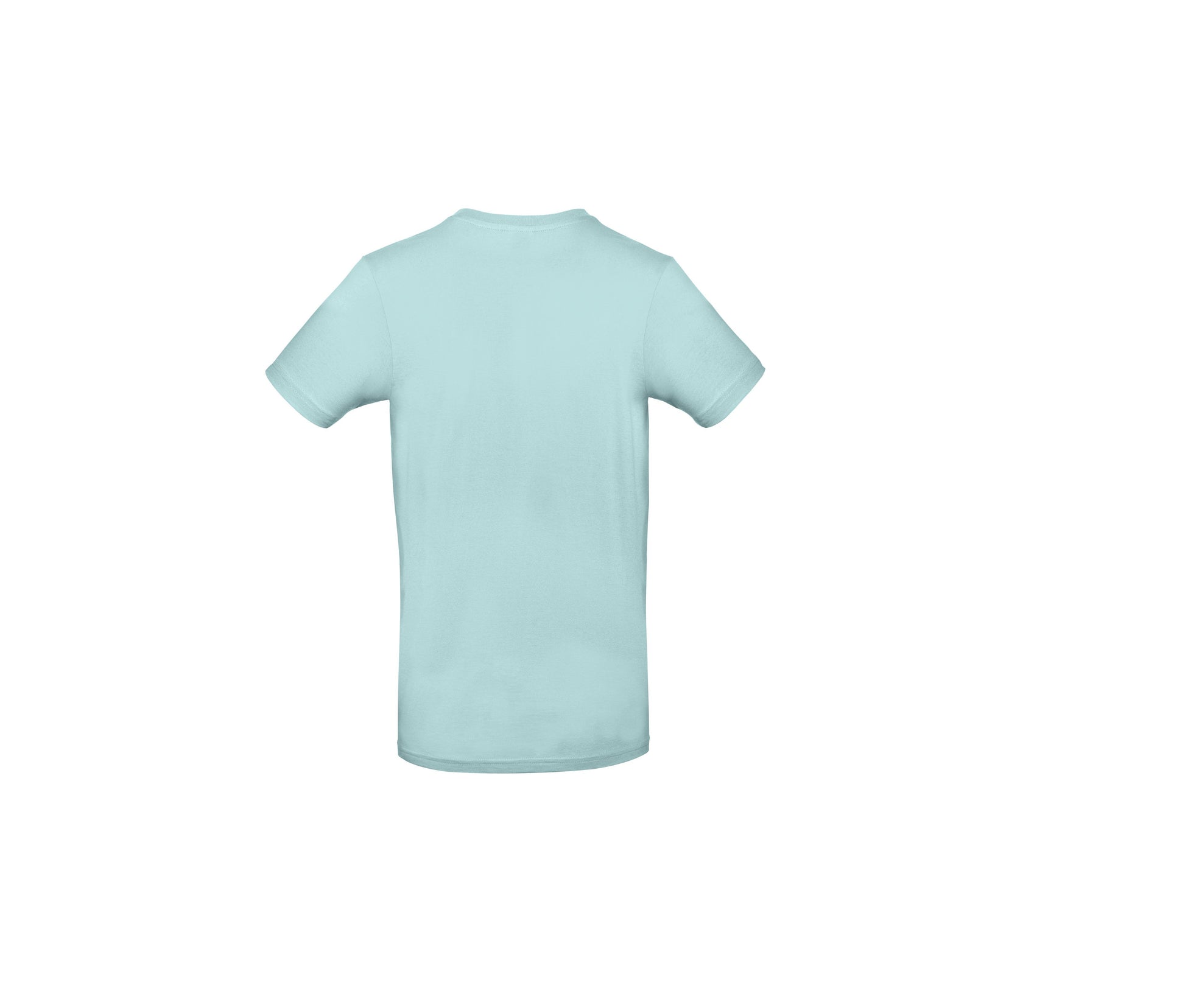 Tee-Shirt Homme Col Rond 190 - Millennial Mint