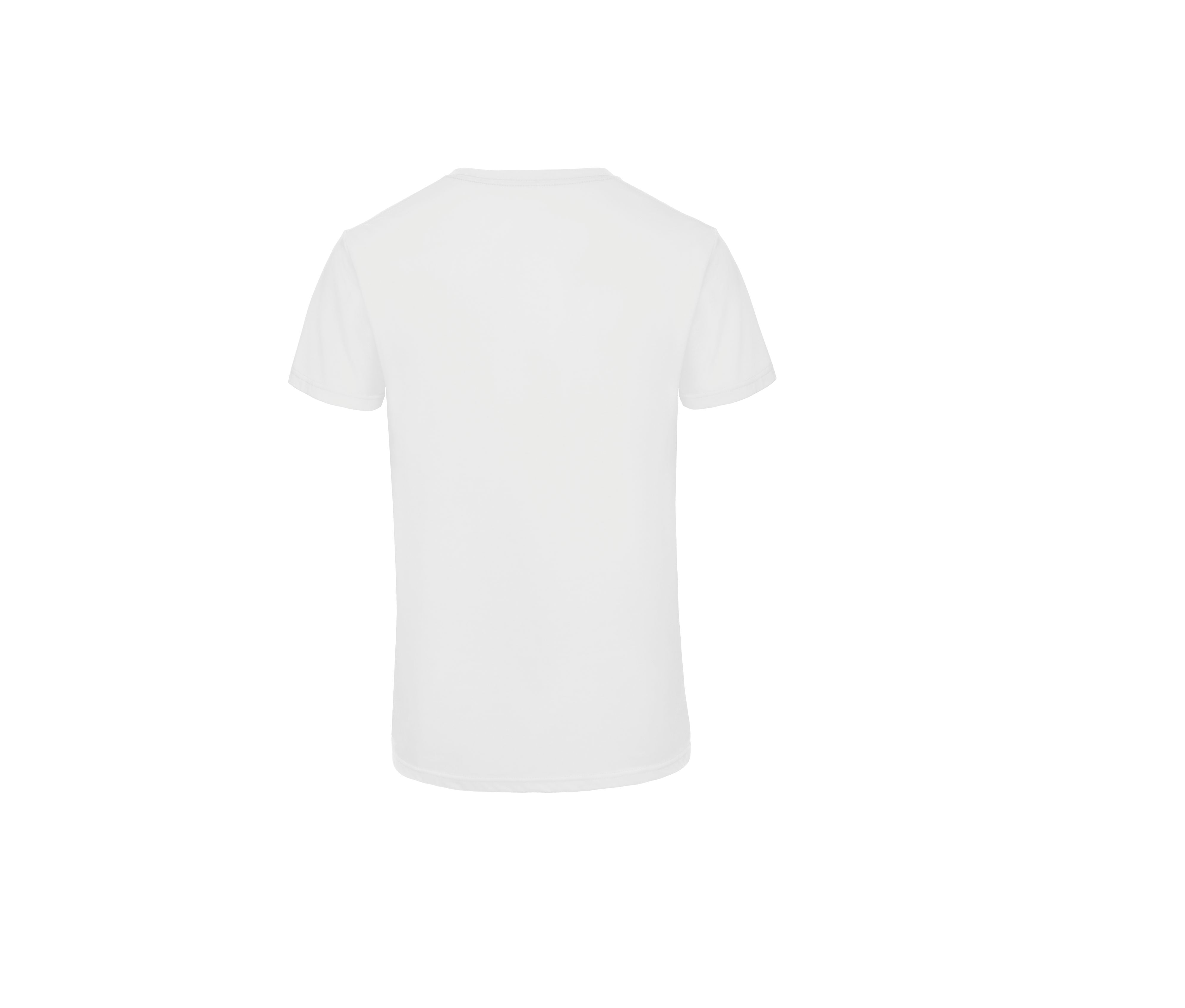 Tee-Shirt Homme Tri-Blend - White