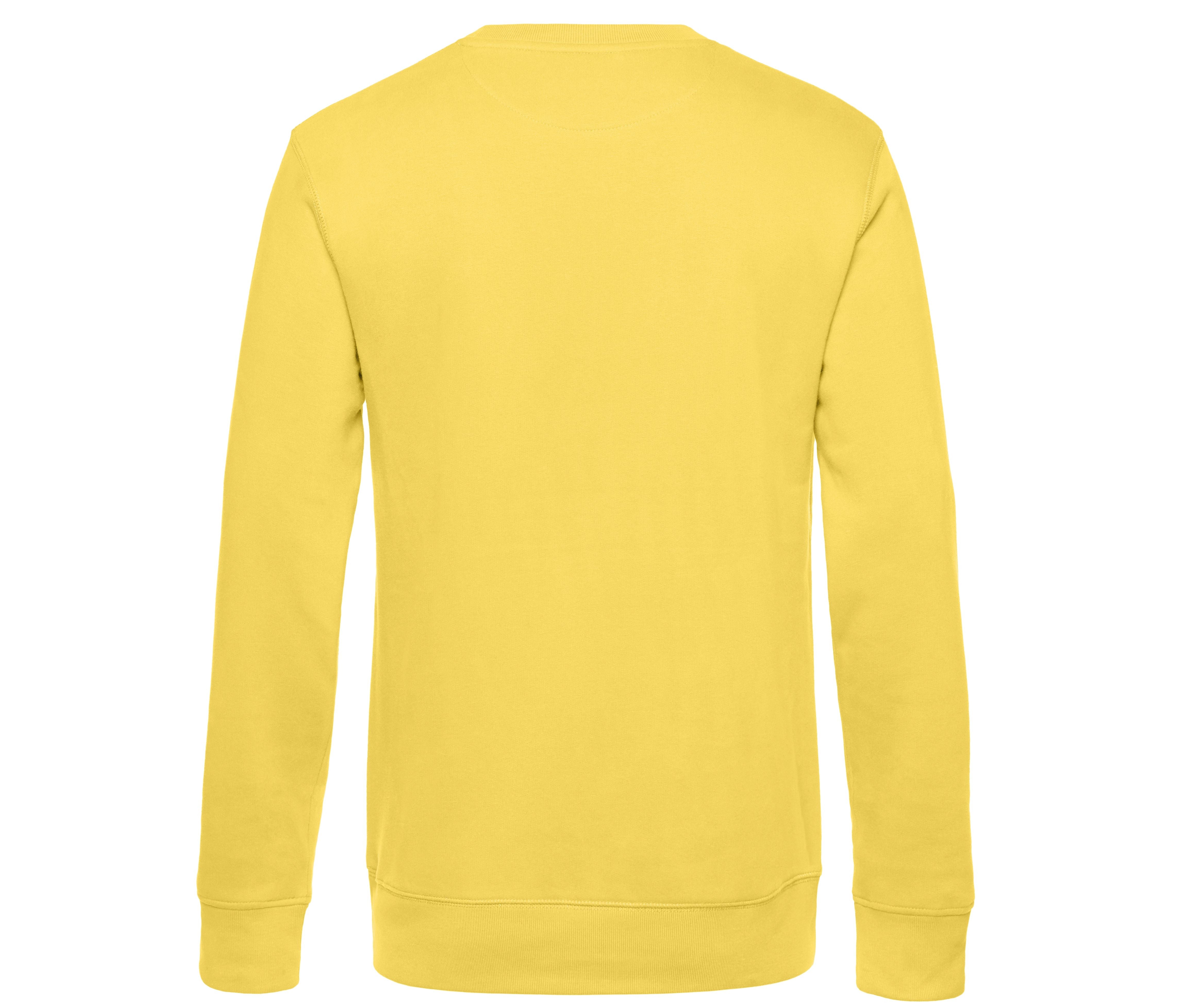 Sweat Manches Droites 280 King - Yellow Fizz