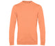 Melon Orange