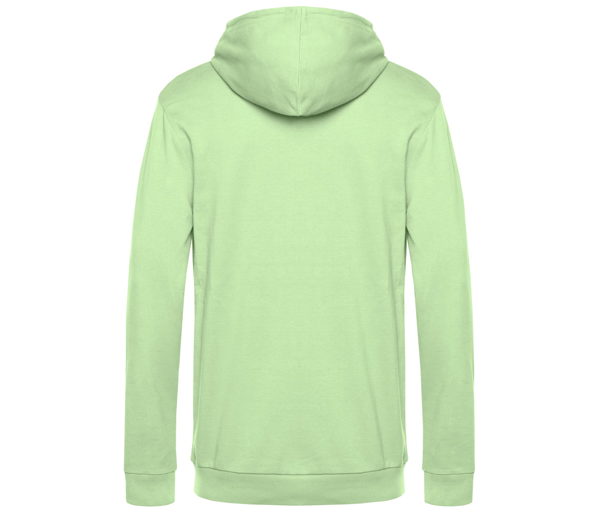 Sweat Capuche # - Light Jade
