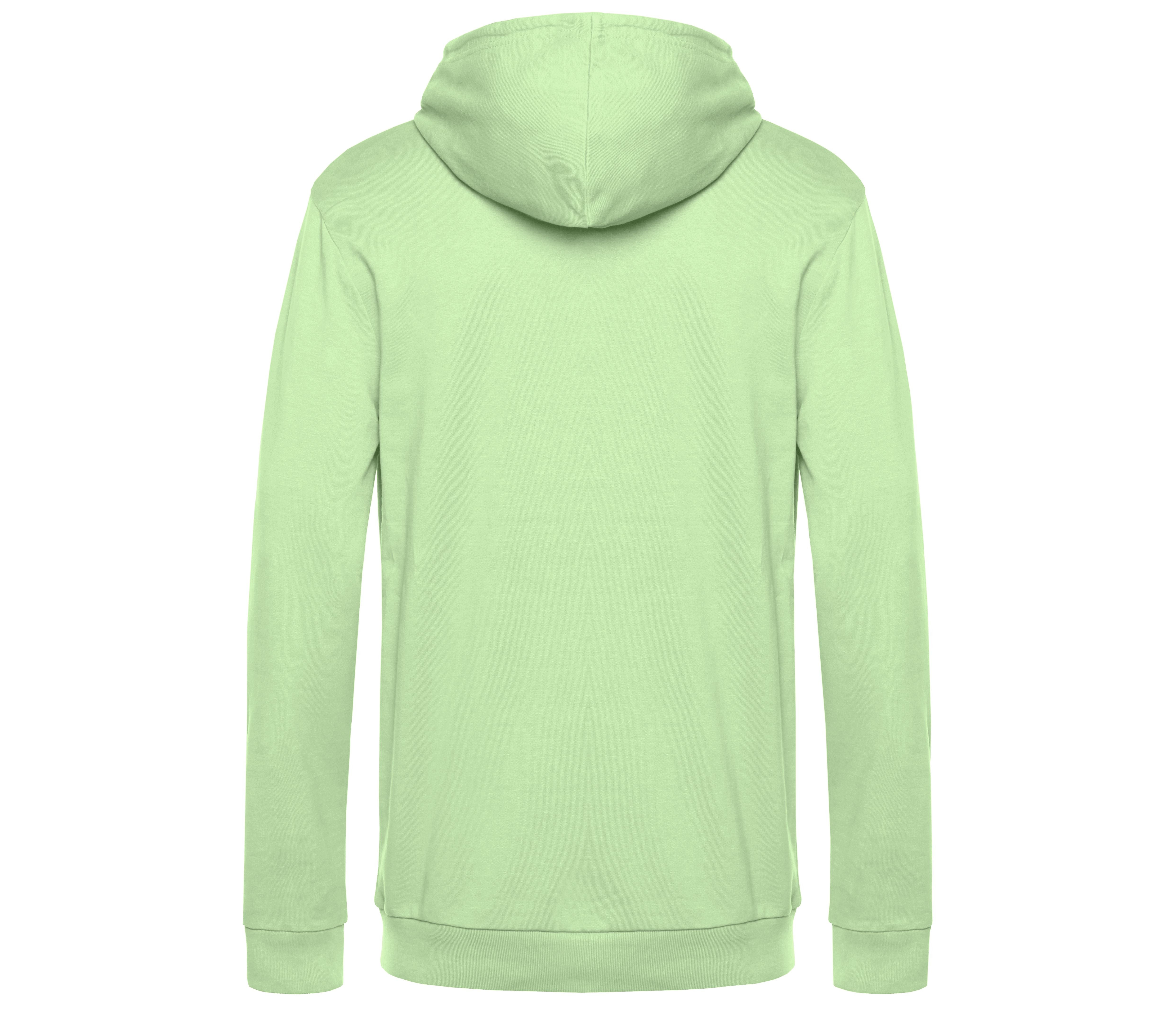 Sweat Capuche # - Light Jade