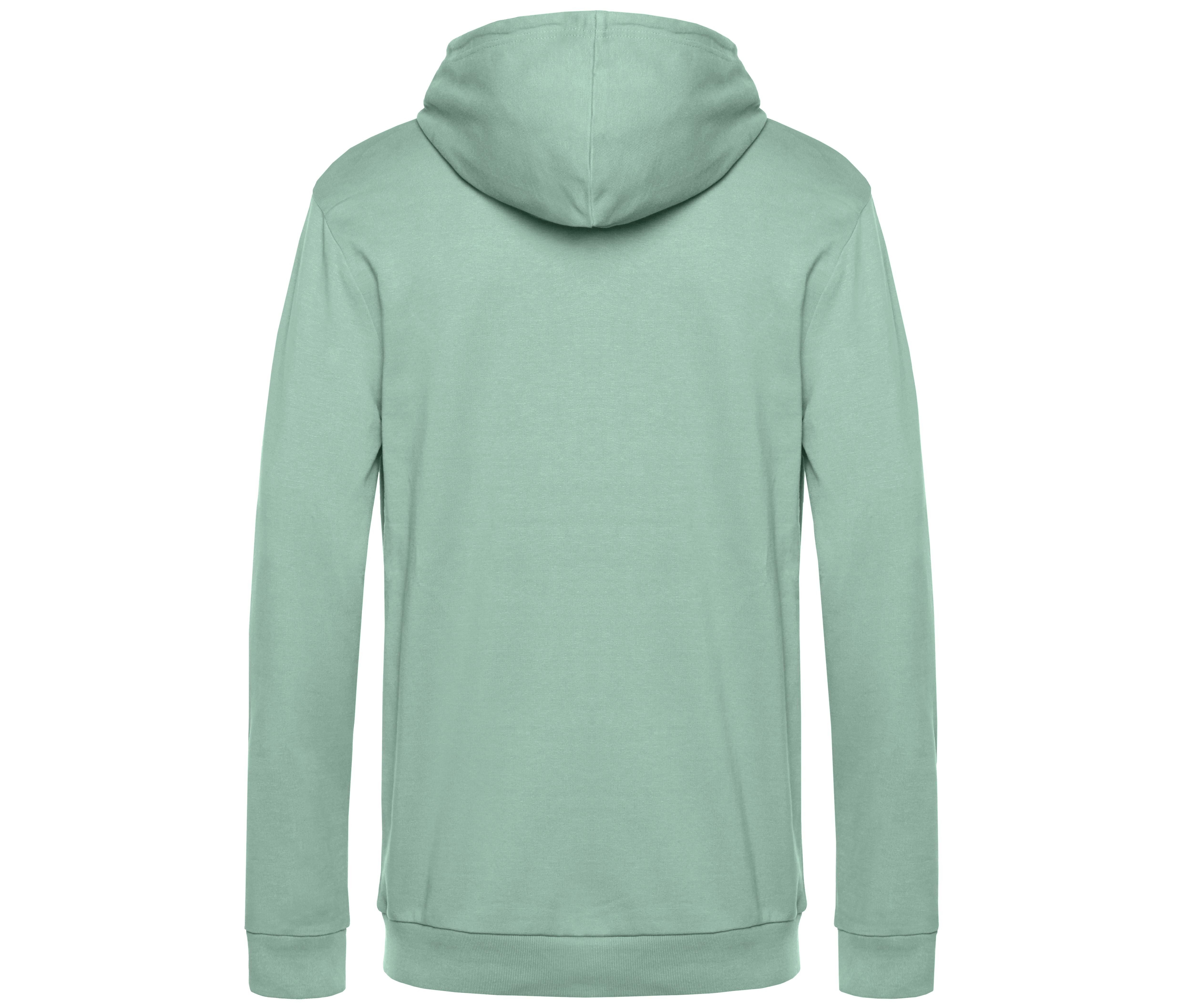 Sweat Capuche # - Sage