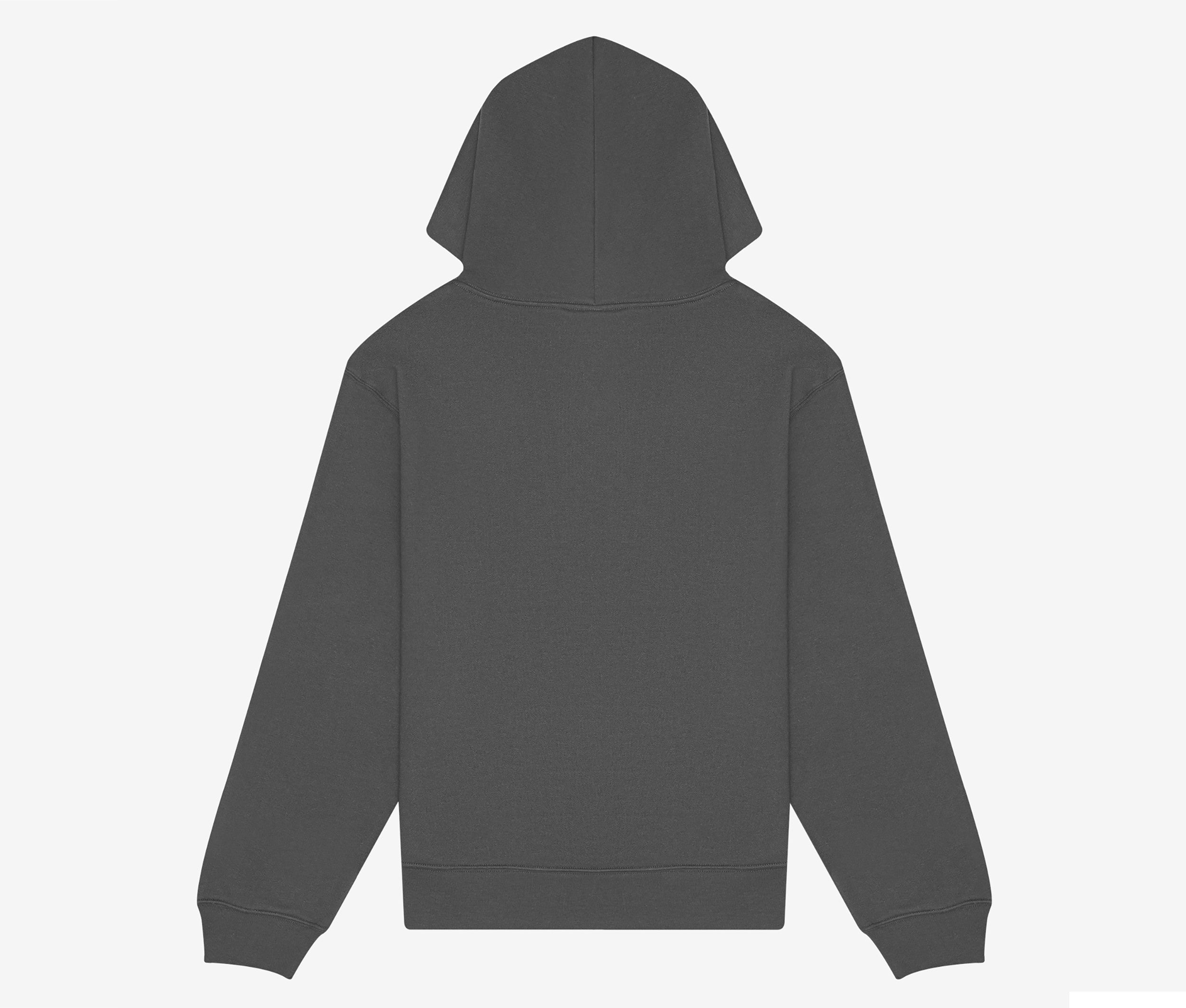 Sweat à Capuche Unisexe - Asphalt