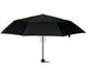 Black/kelly Green