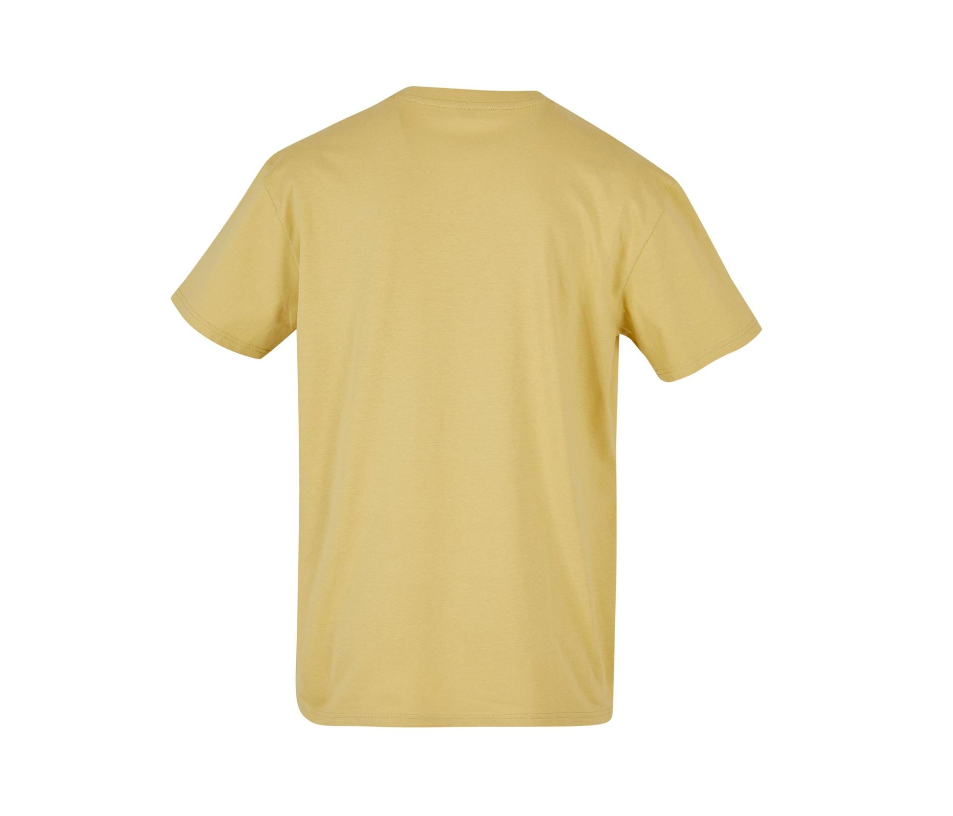 Tee-Shirt Oversize Lourd - Pale Moss