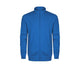 Cobalt Blue