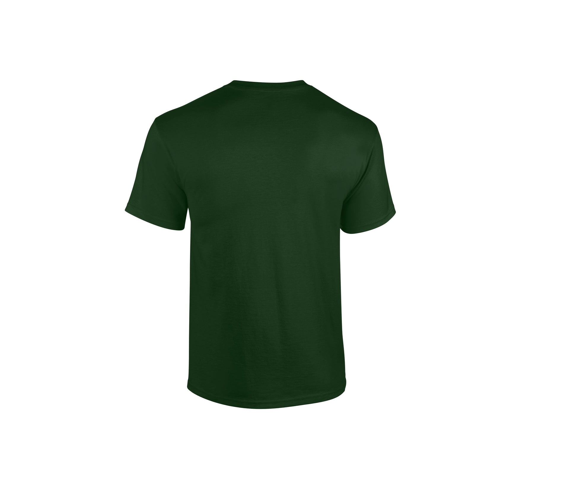 Tee-Shirt Col Rond 180 - Forest Green