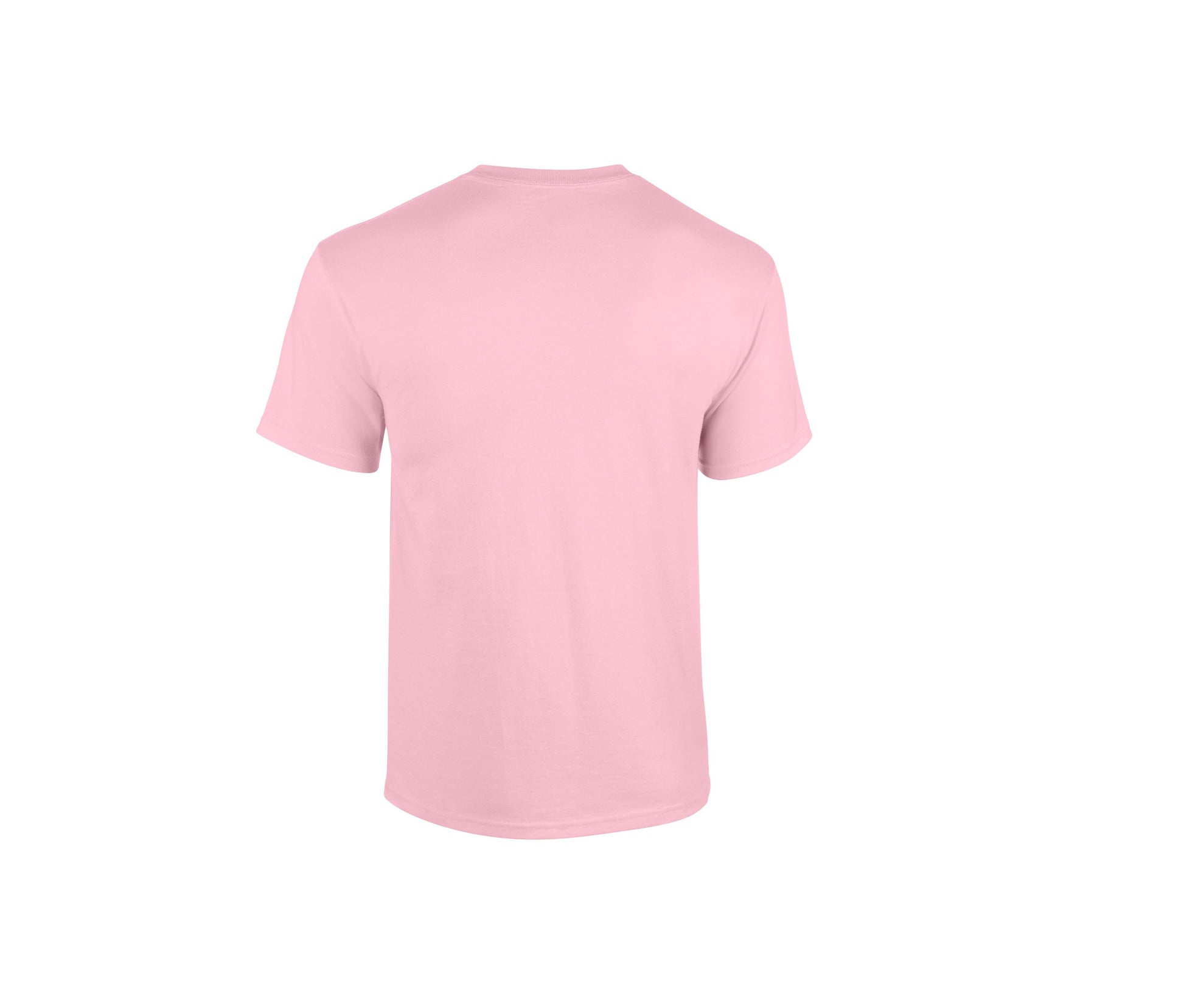 Tee-Shirt Col Rond 180 - Light Pink
