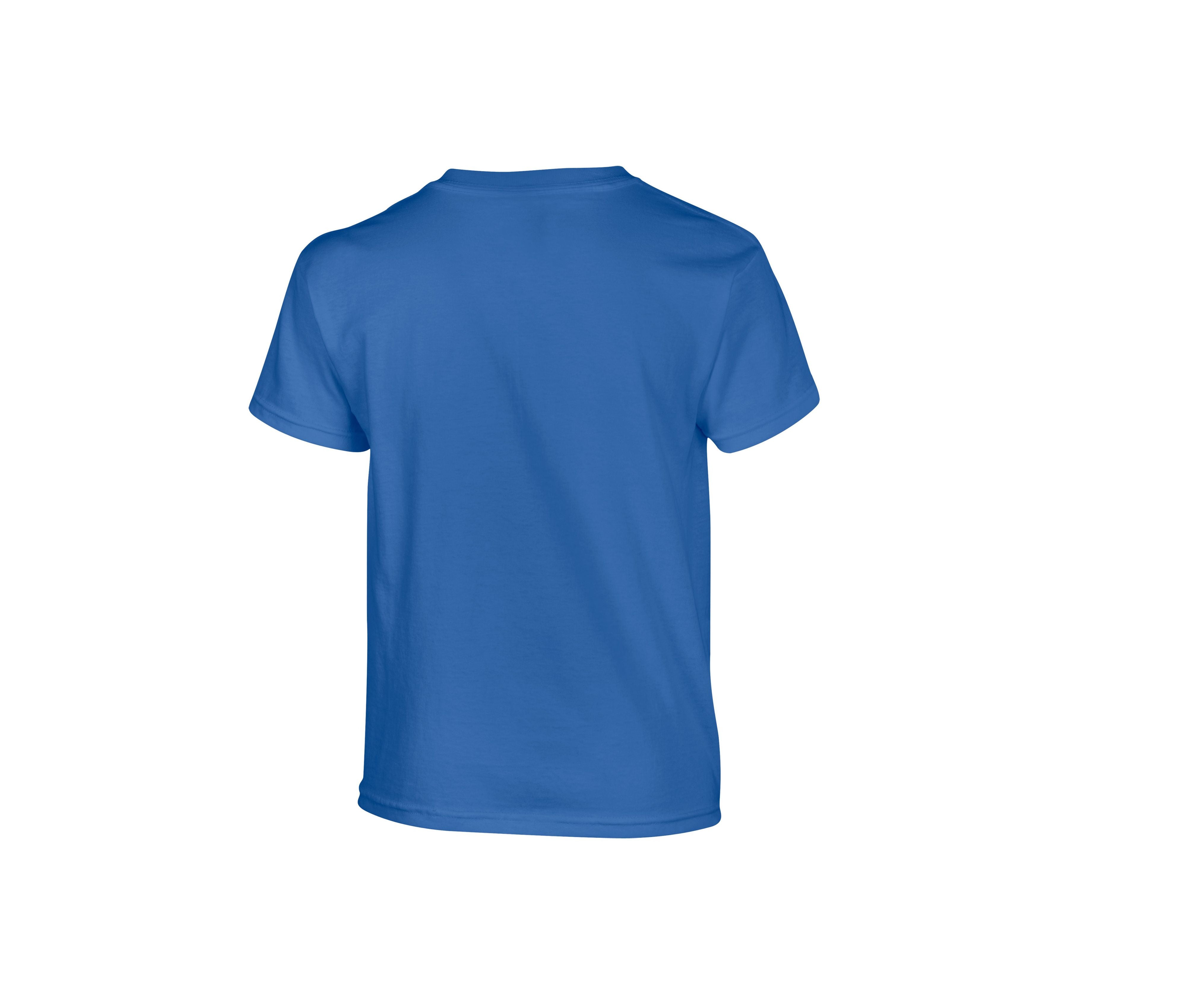 Tee-Shirt Col Rond 180 - Royal