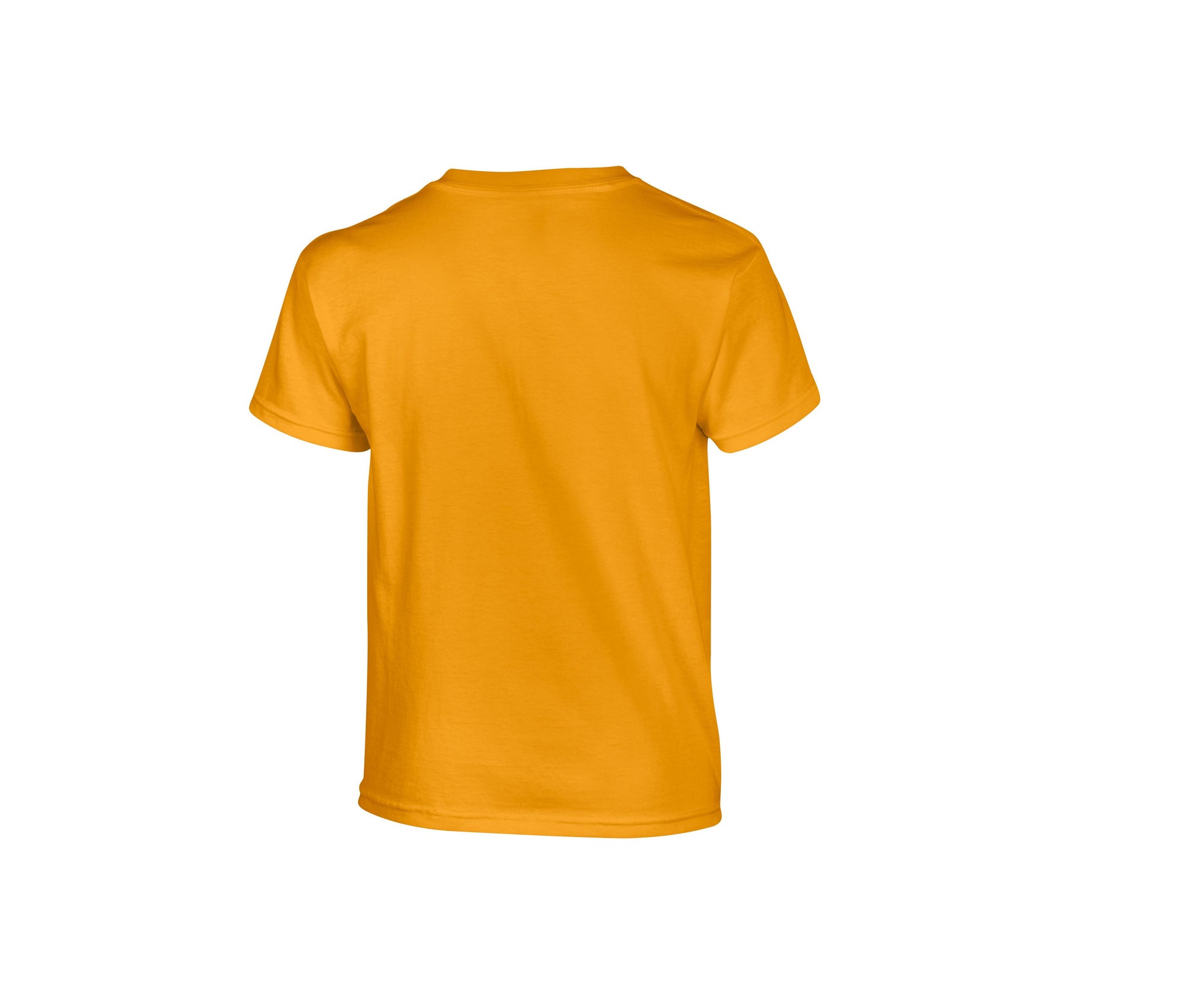 Tee-Shirt Col Rond 180 - Gold