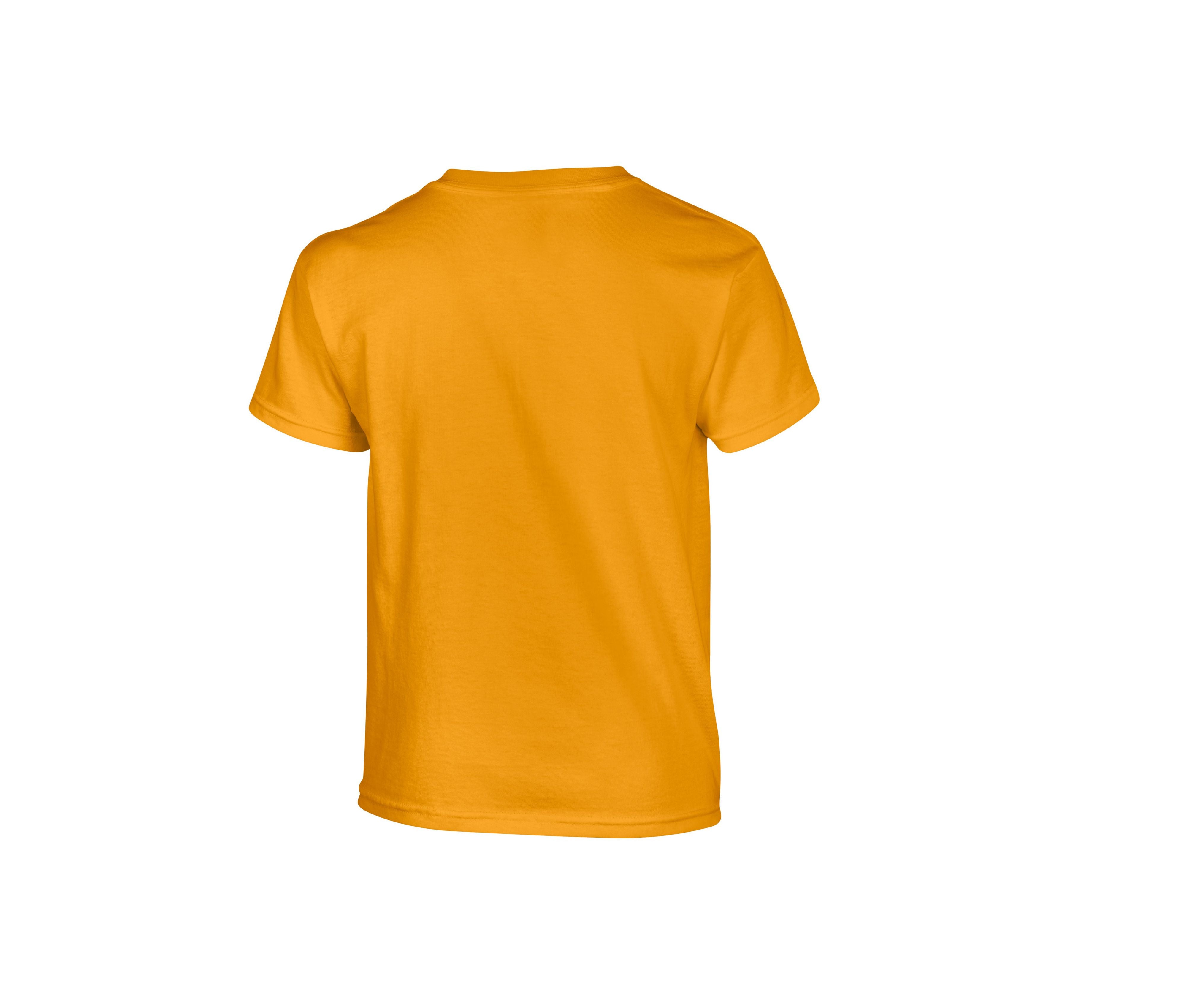 Tee-Shirt Col Rond 180 - Gold