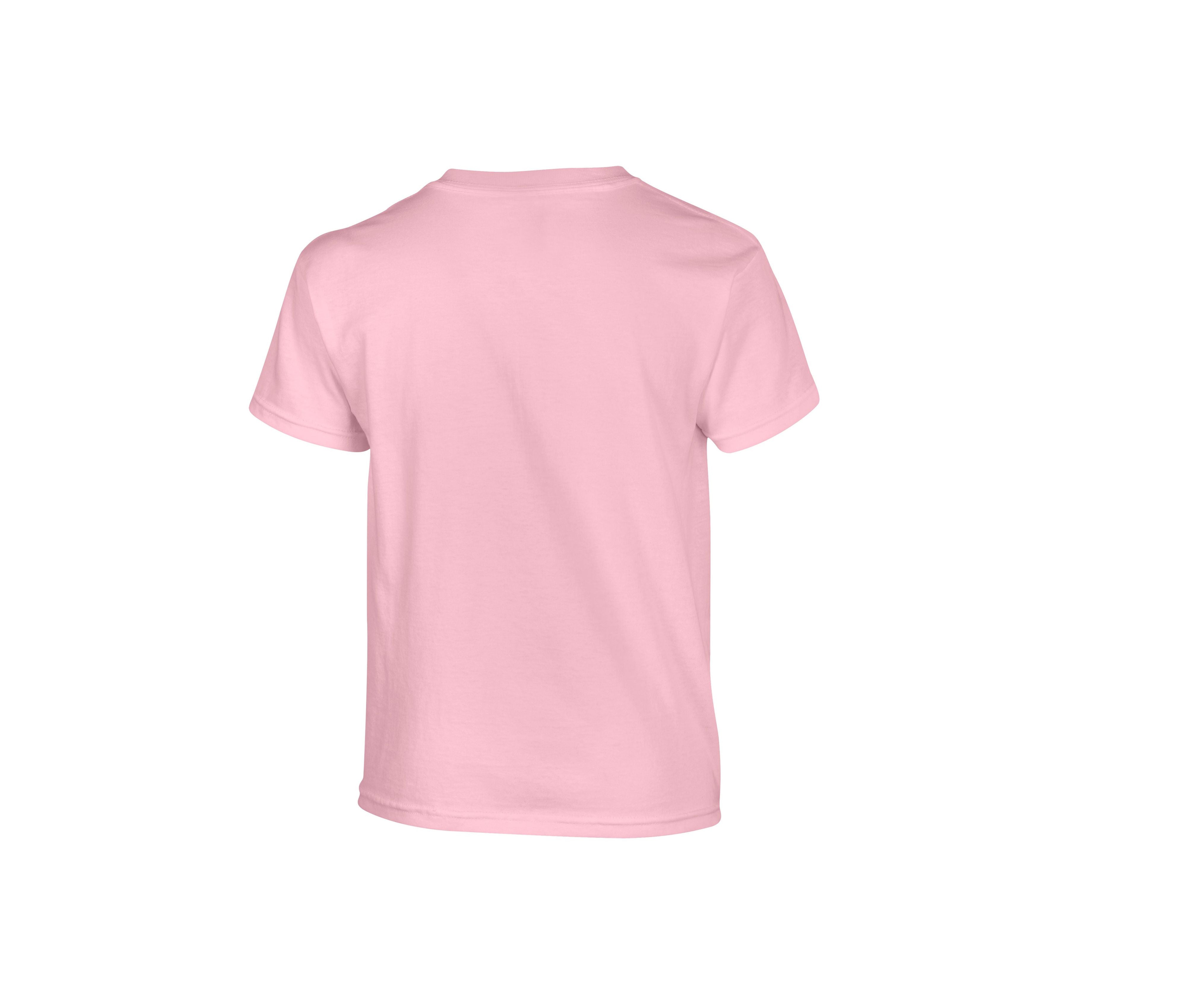 Tee-Shirt Col Rond 180 - Light Pink