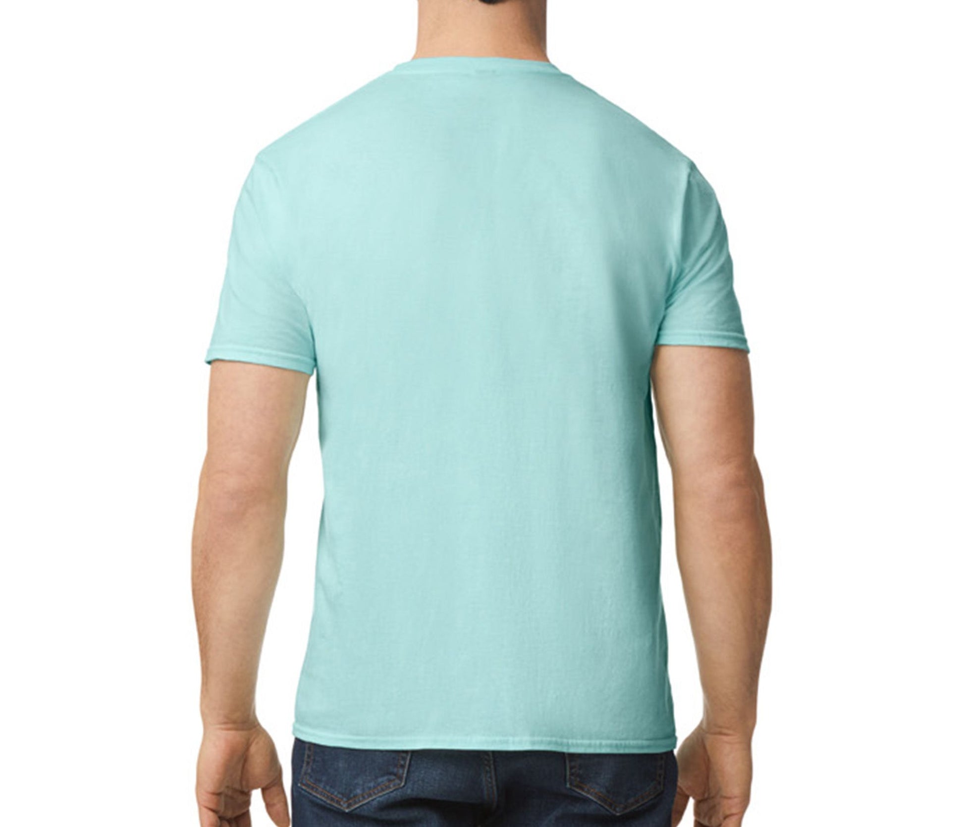 Tee-Shirt Unisexe 150 - Teal Ice