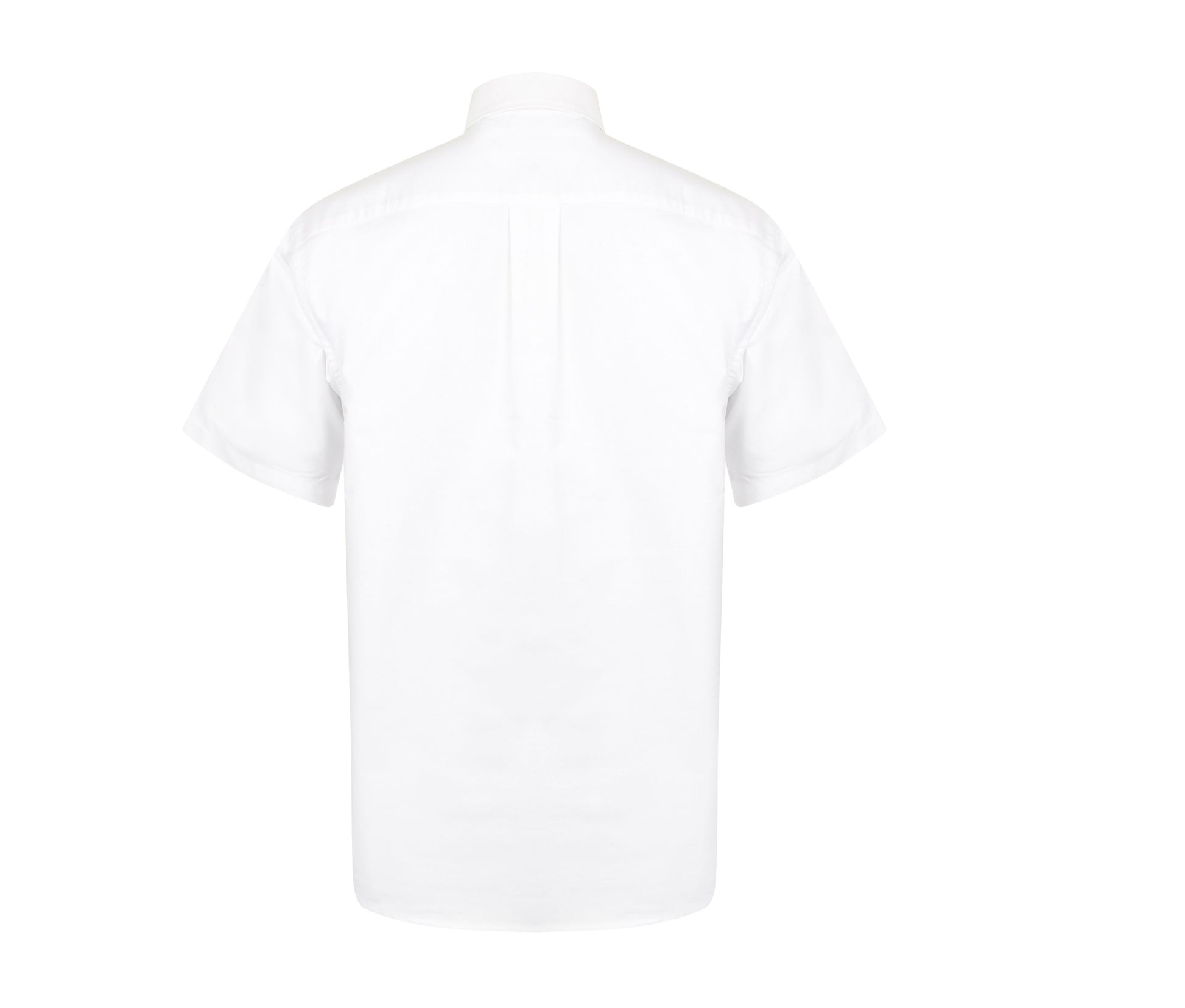 Chemisette Oxford Homme - White