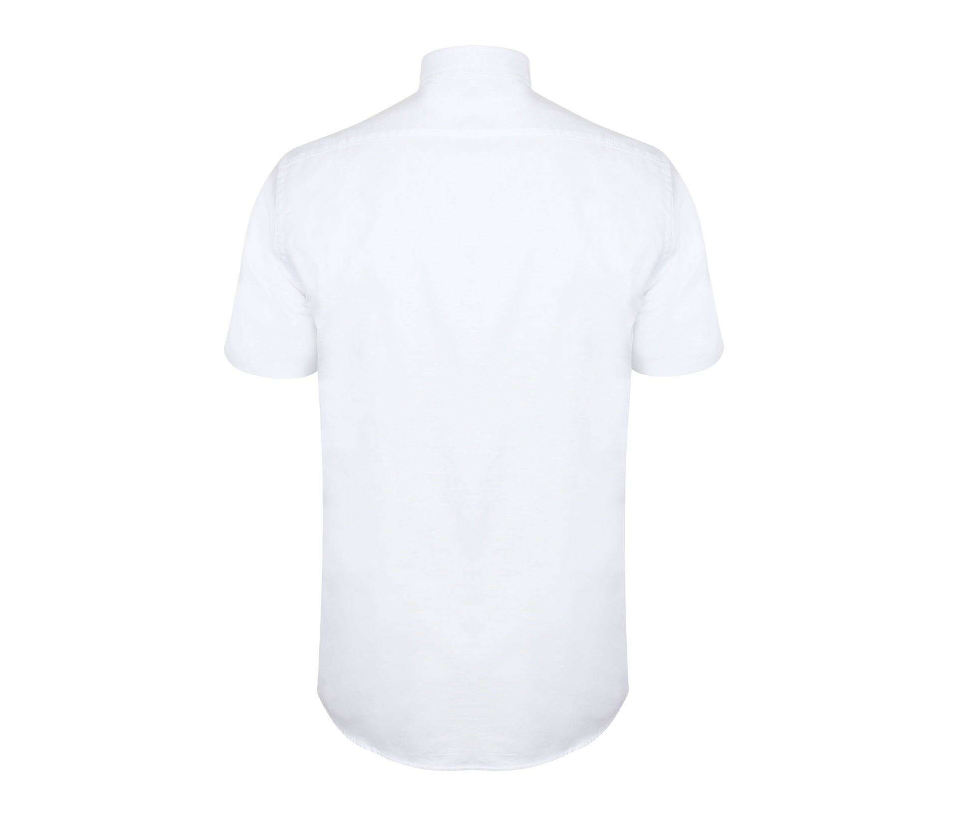 Chemisette Oxford Homme - White