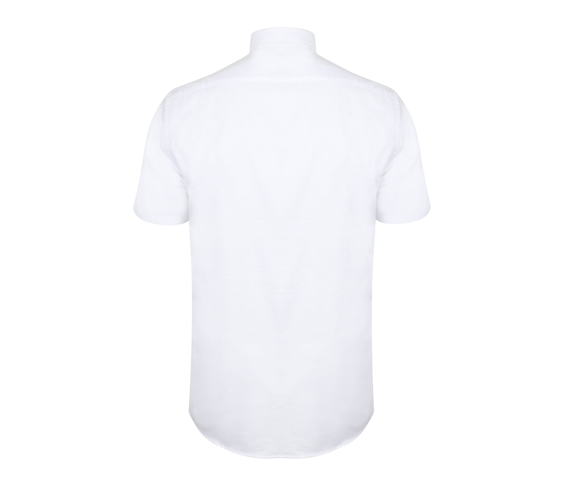 Chemisette Oxford Homme - White
