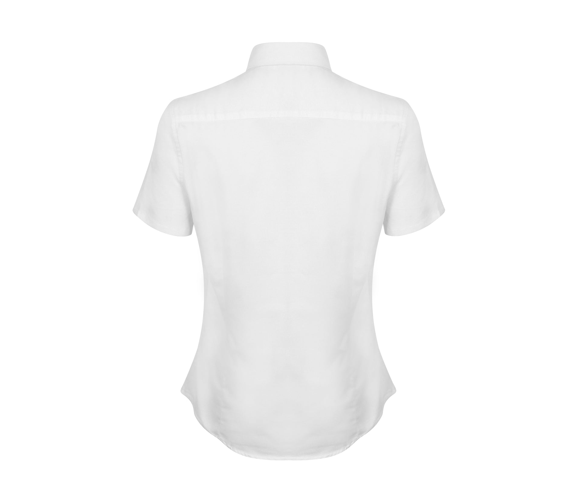 Chemisette Oxford Femme - White