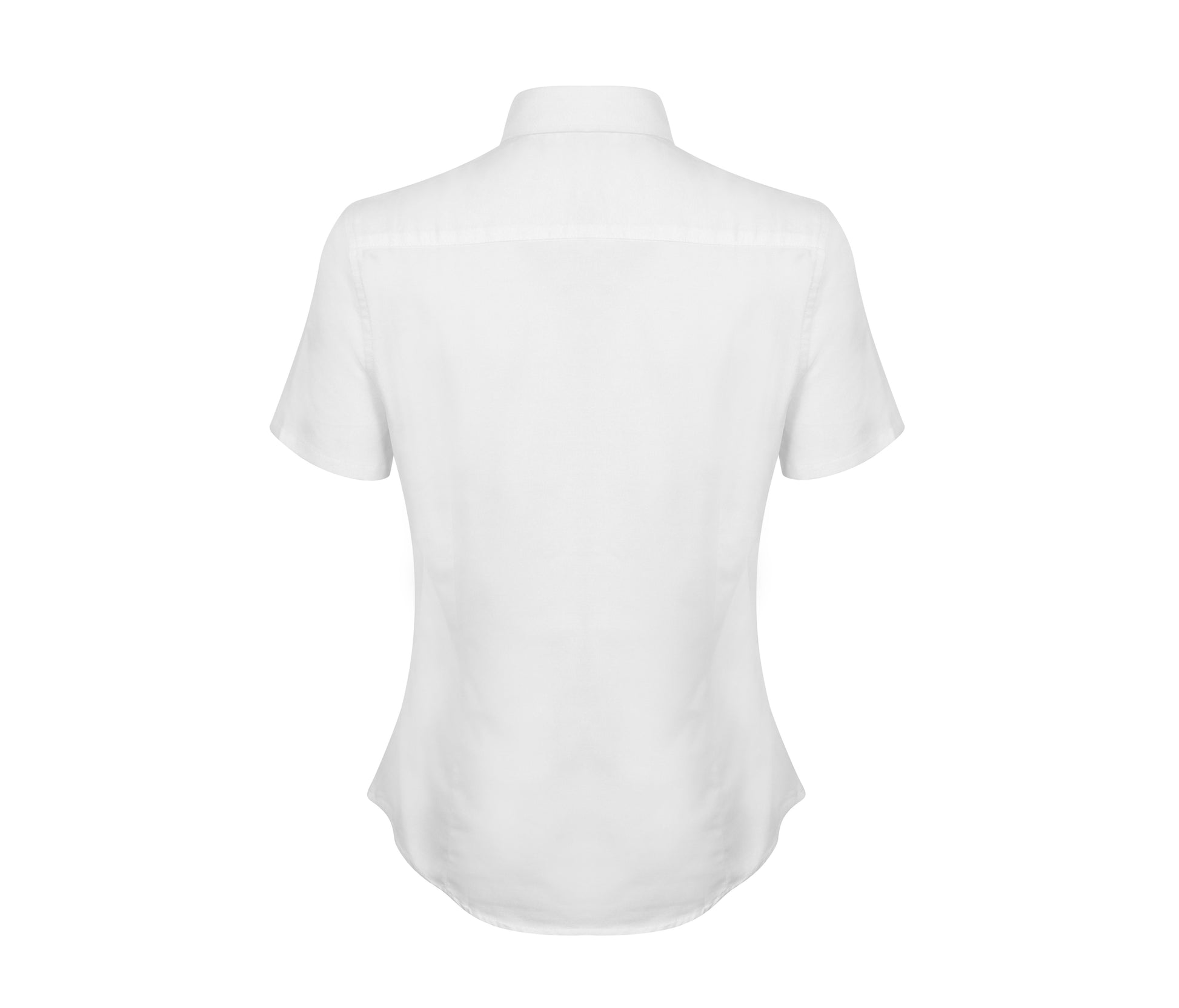 Chemisette Oxford Femme - White
