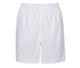 Arctic White
