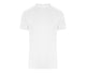 Arctic White