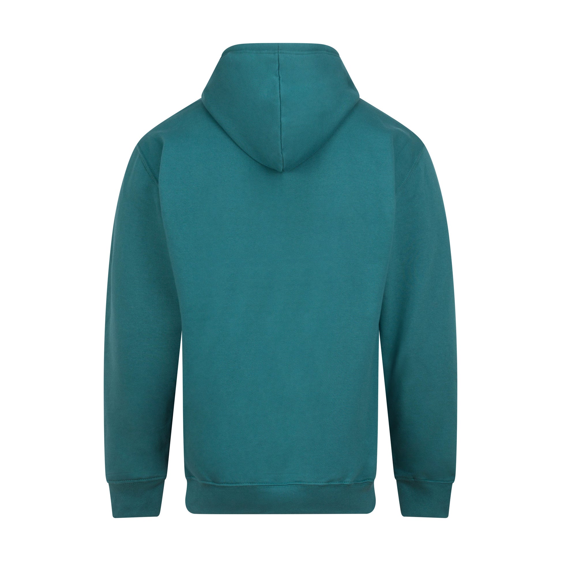 Sweat Capuche - Teal
