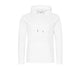 Arctic White