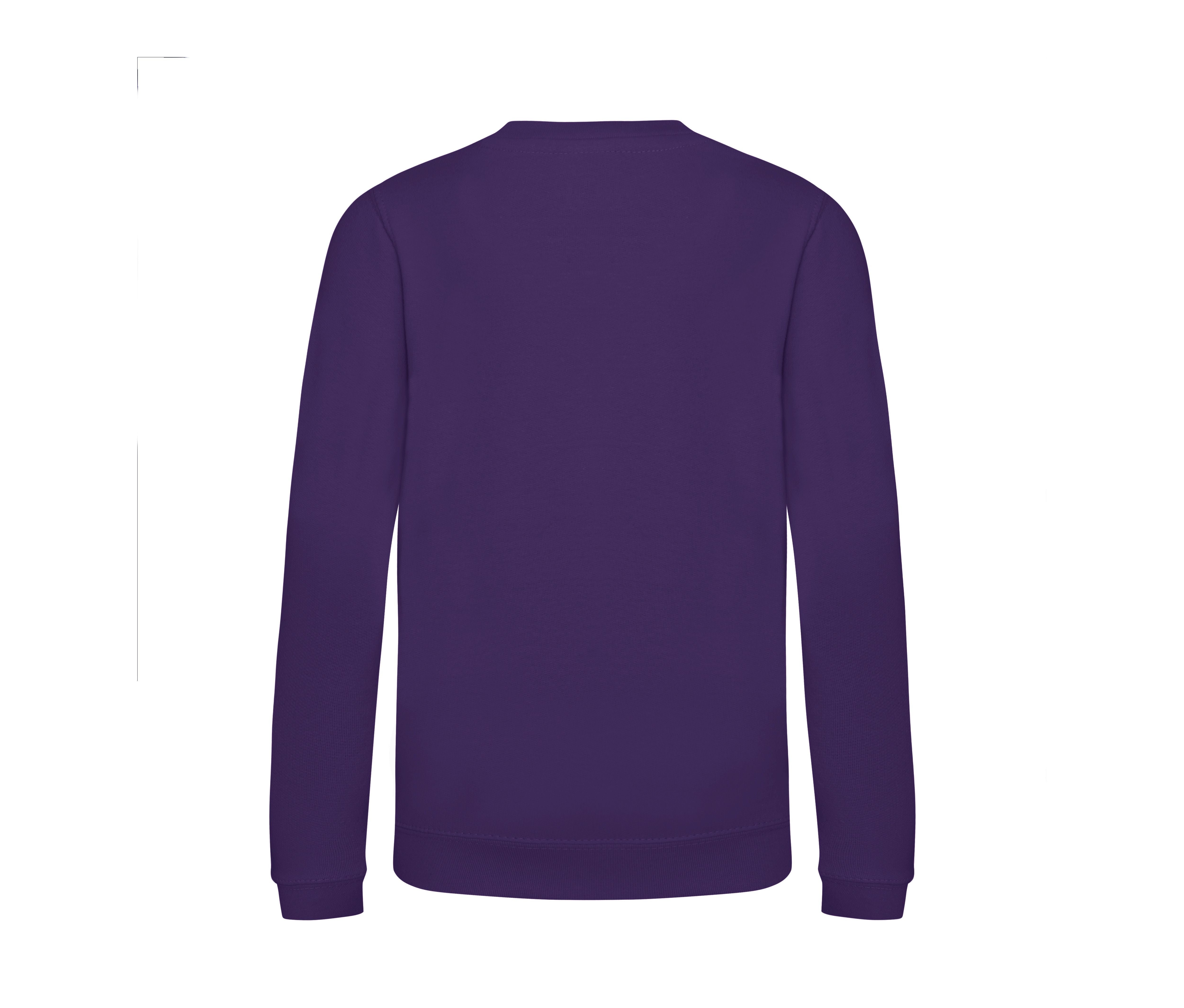 Sweat Enfant Awdis - Purple