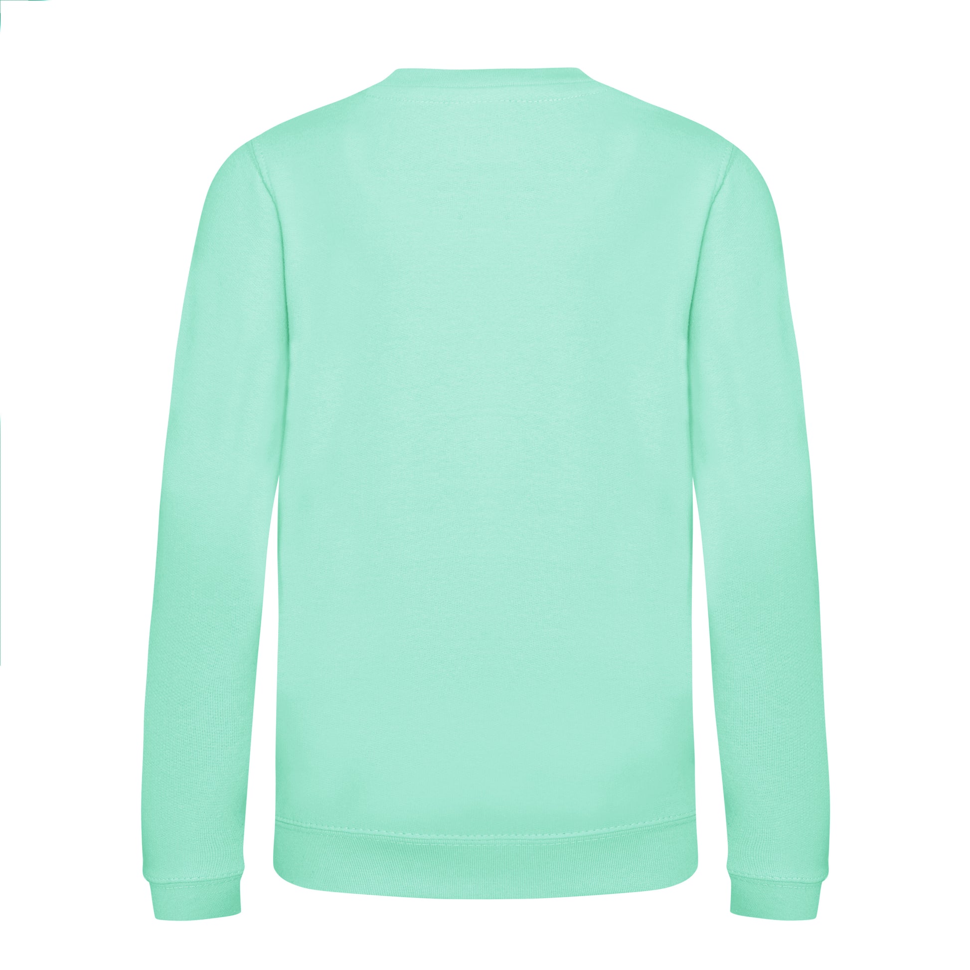 Sweat Enfant Awdis - Peppermint
