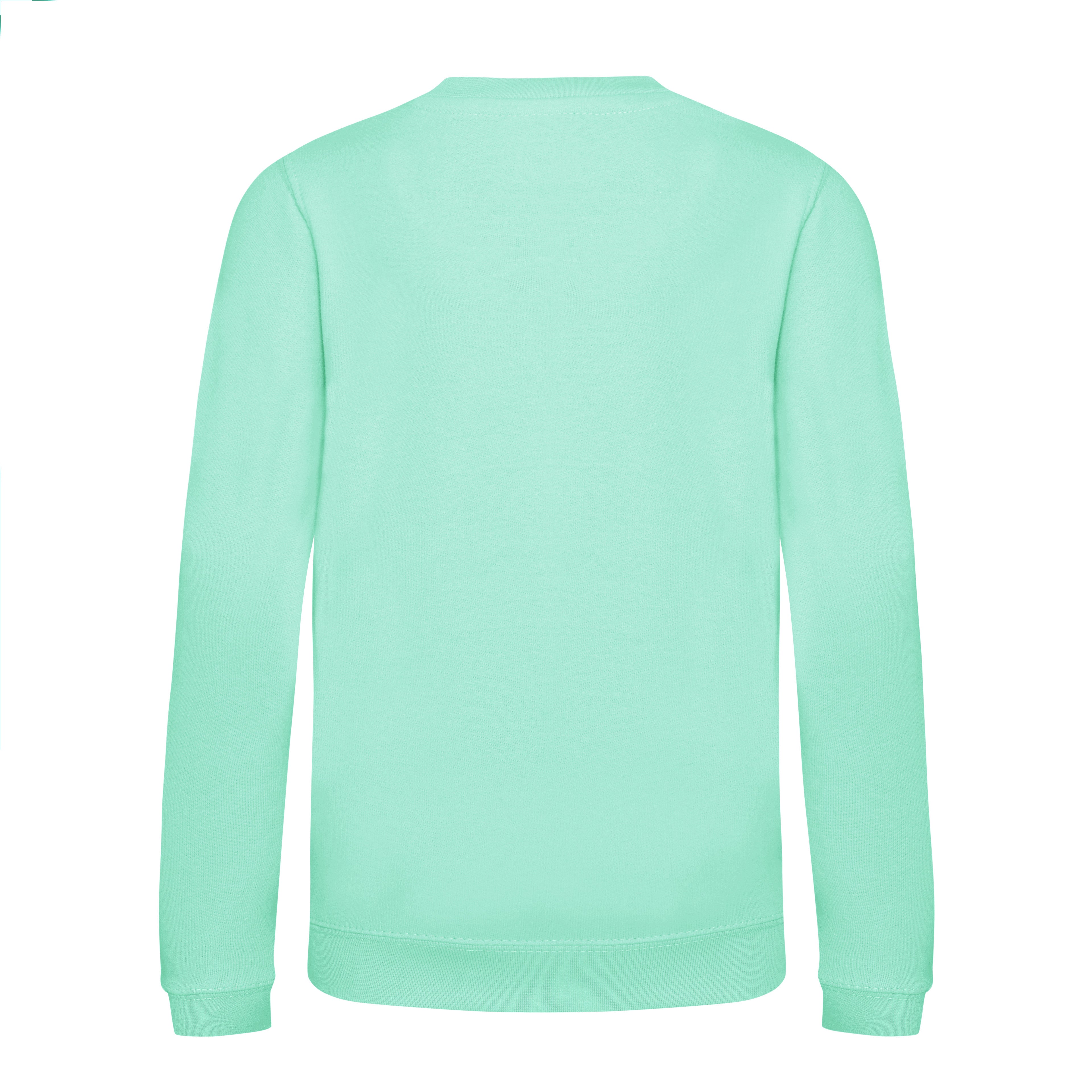 Sweat Enfant Awdis - Peppermint