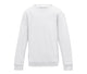 Arctic White