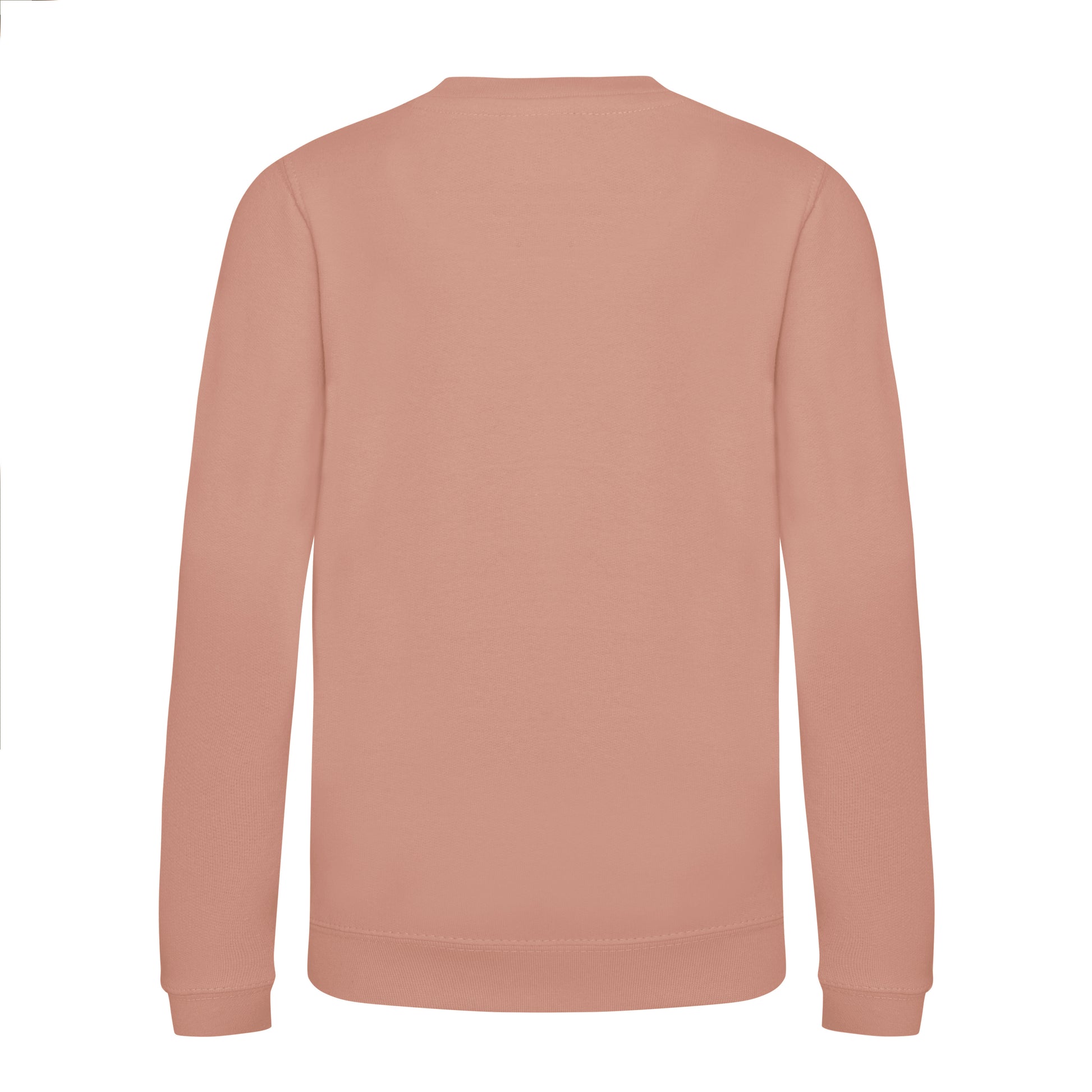 Sweat Enfant Awdis - Dusty Pink