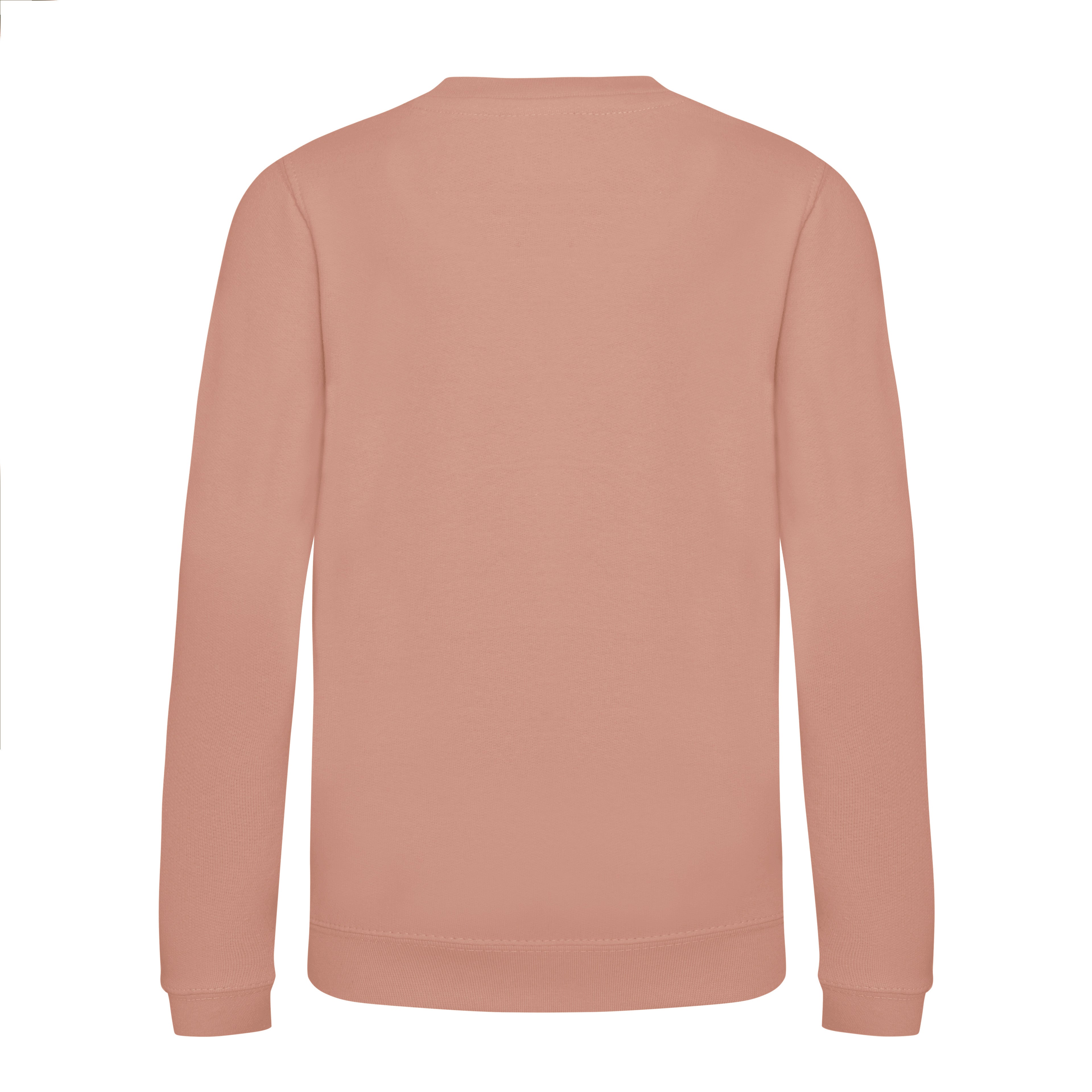Sweat Enfant Awdis - Dusty Pink