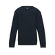 New French Navy
