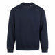 New French Navy