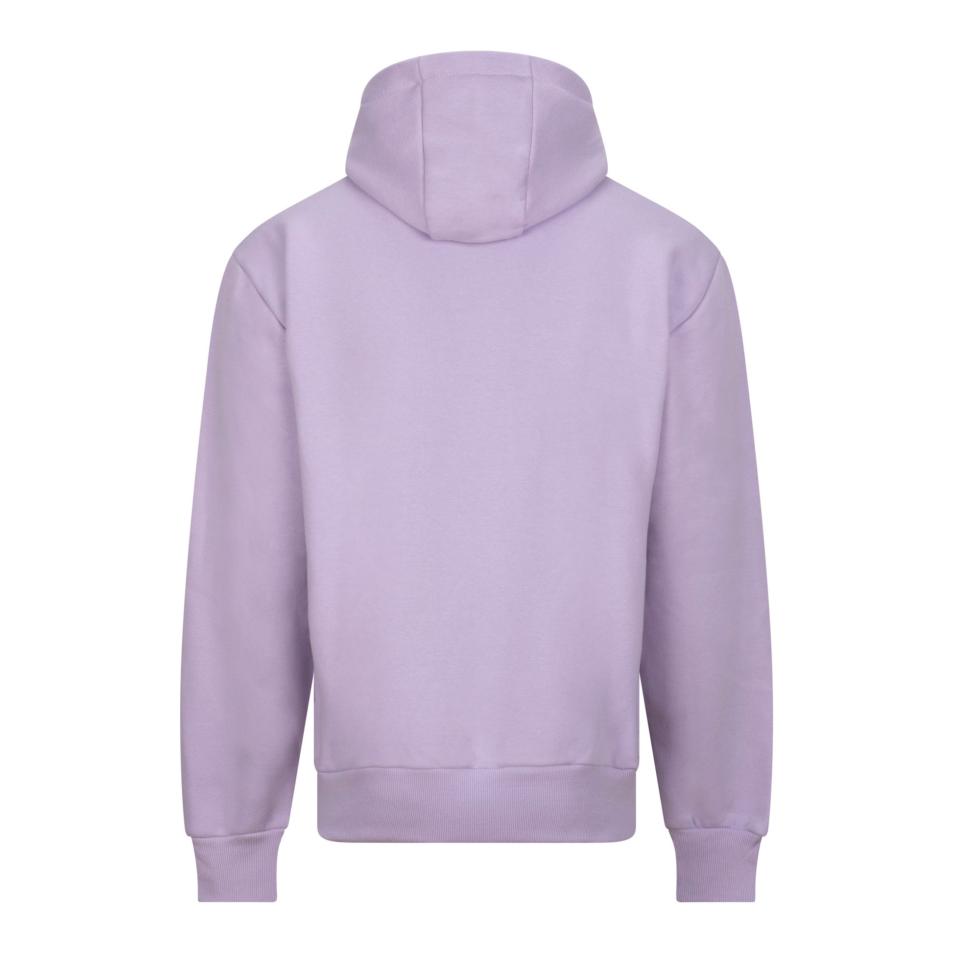 Sweat Capuche Lourd - Lilac