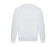 Arctic White