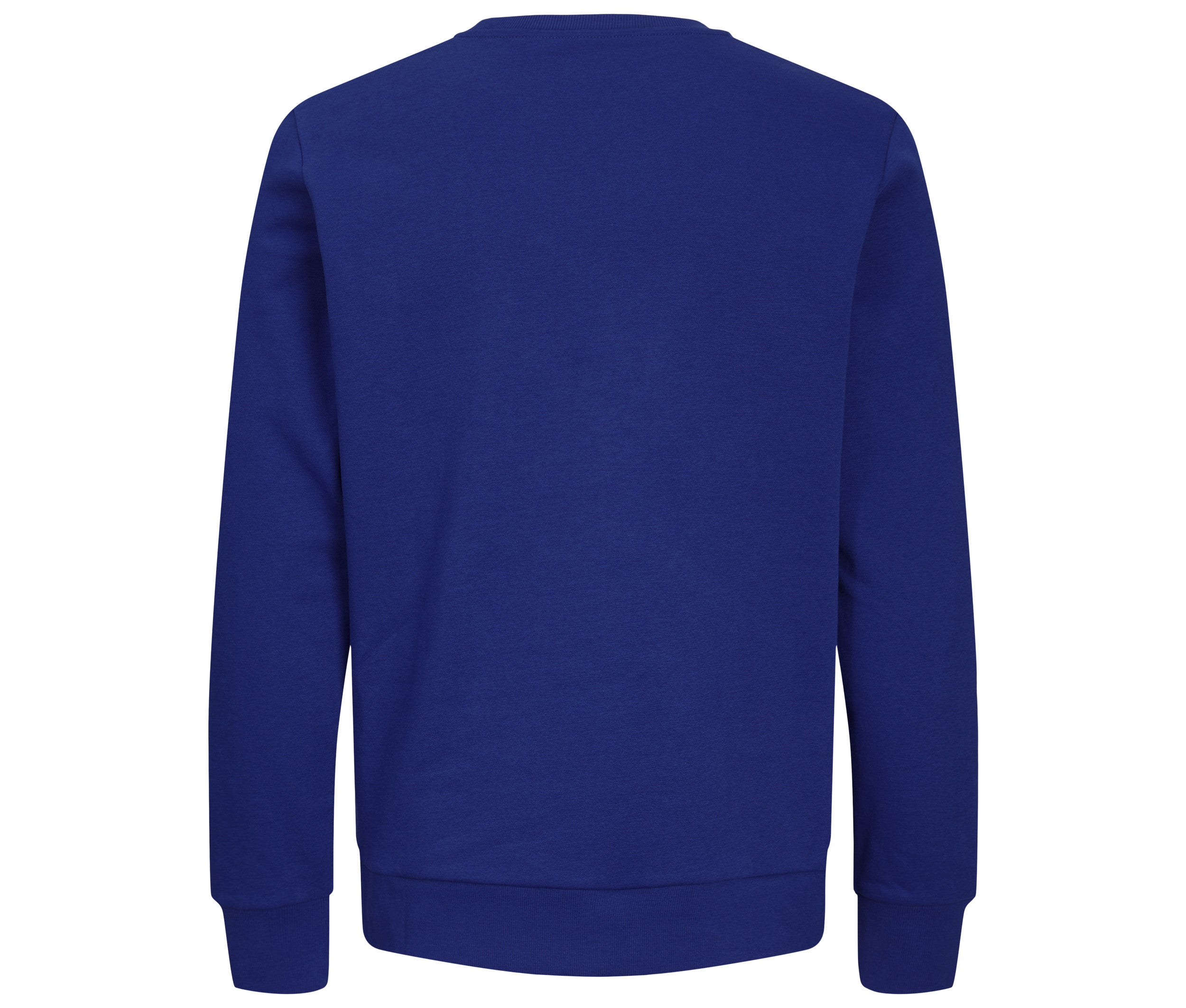 Sweat Col Rond Unisexe - Surf the Web Blue